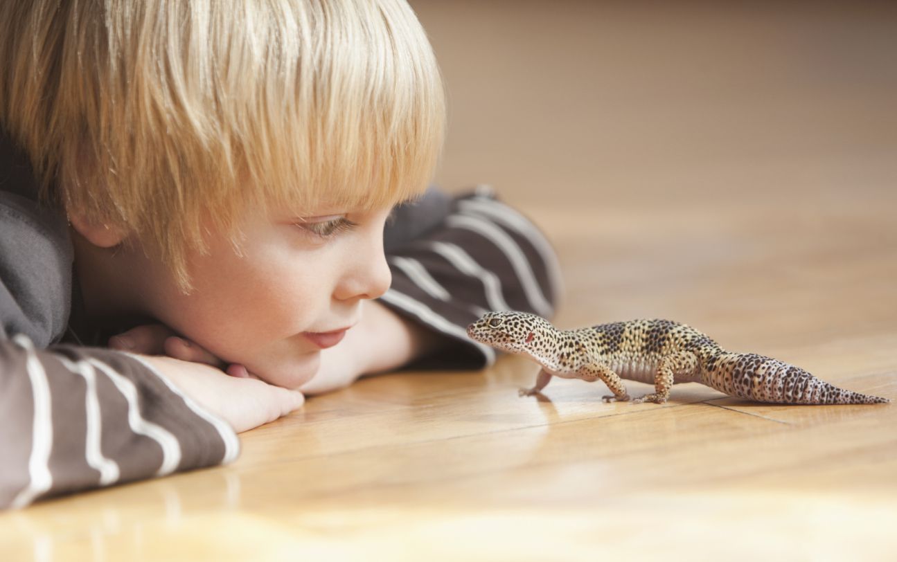 20-surprising-facts-about-reptile-keeping