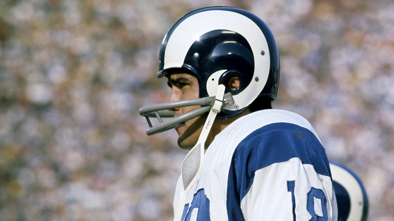 20-surprising-facts-about-roman-gabriel