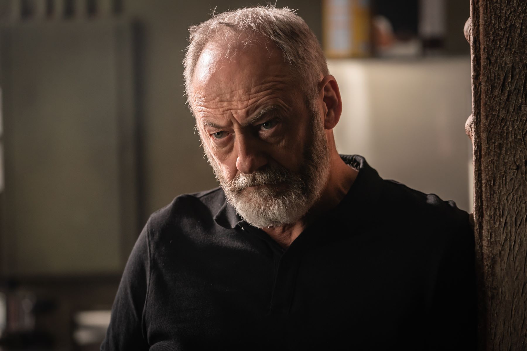 21-astounding-facts-about-liam-cunningham