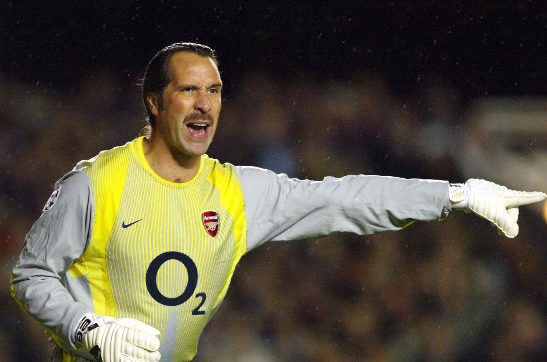 22-mind-blowing-facts-about-david-seaman
