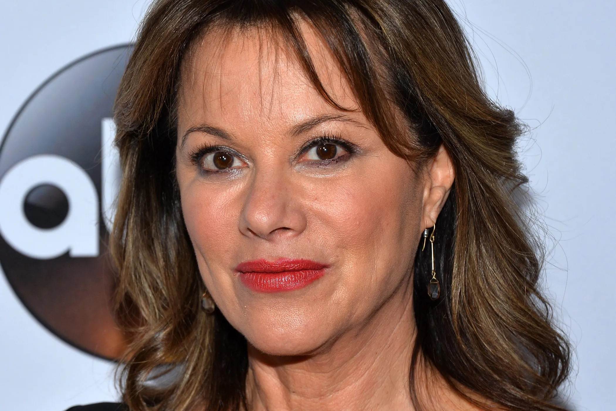 25-captivating-facts-about-nancy-lee-grahn