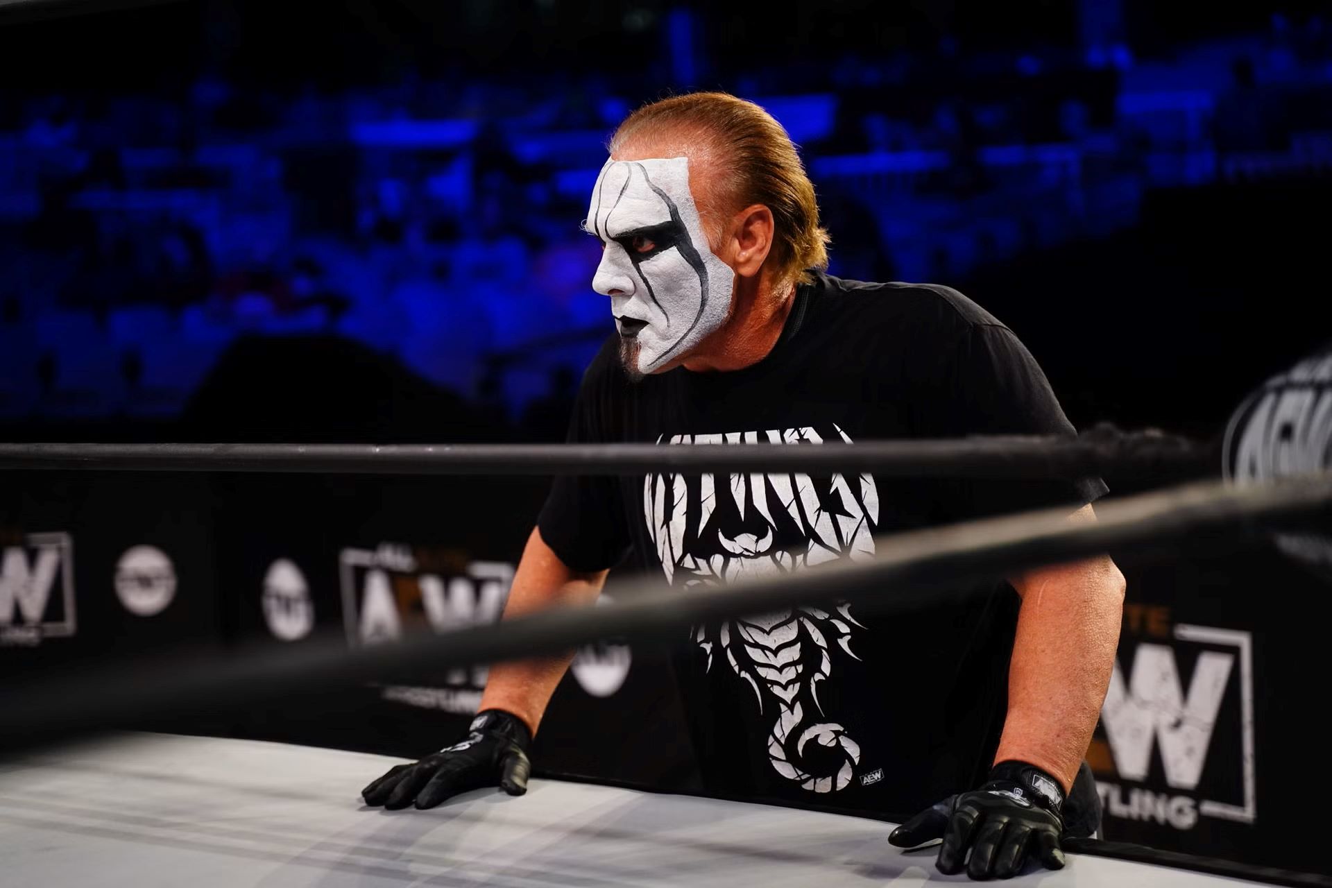 25-fascinating-facts-about-sting-wrestler