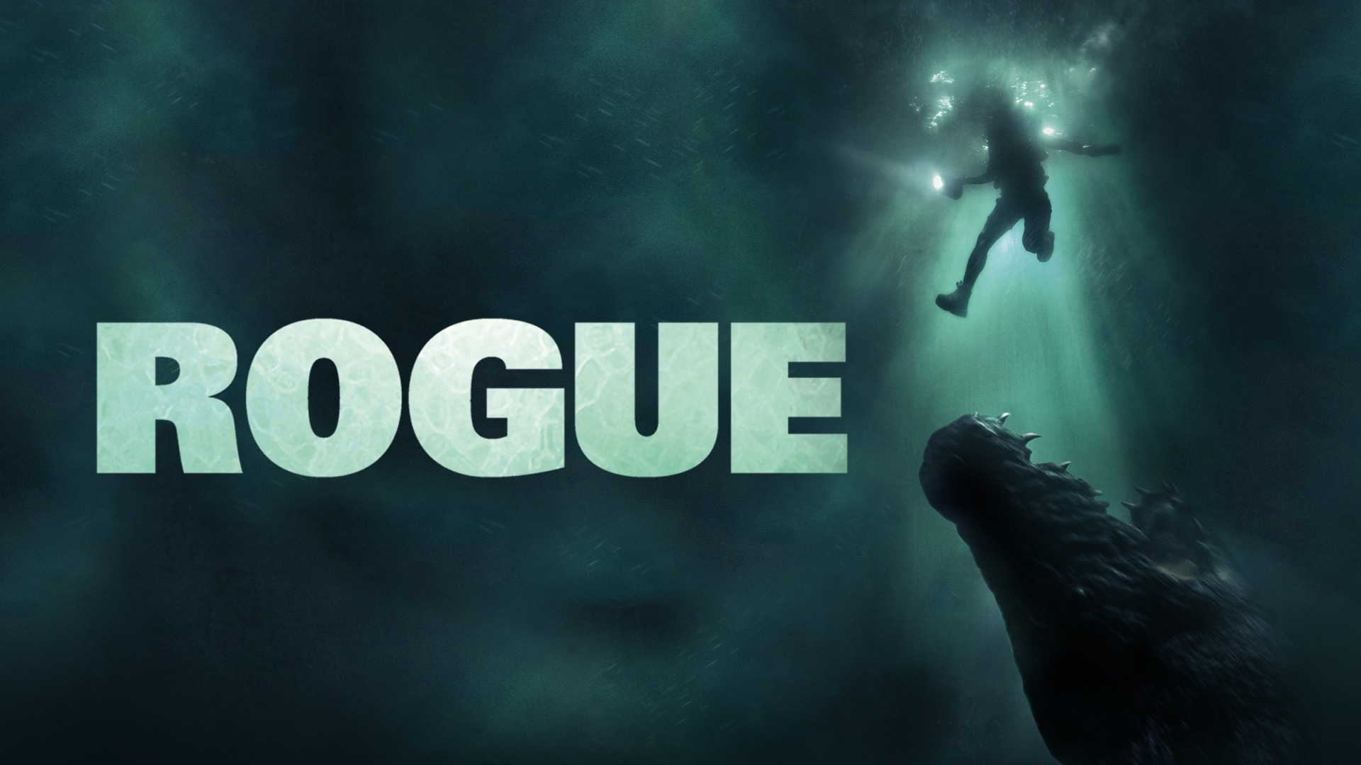 30-facts-about-the-movie-rogue