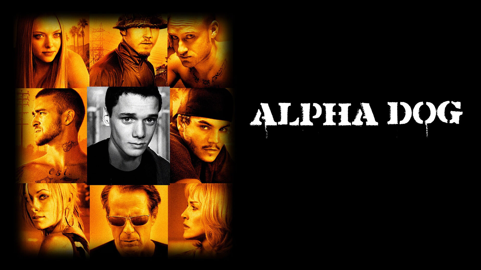31-facts-about-the-movie-alpha-dog