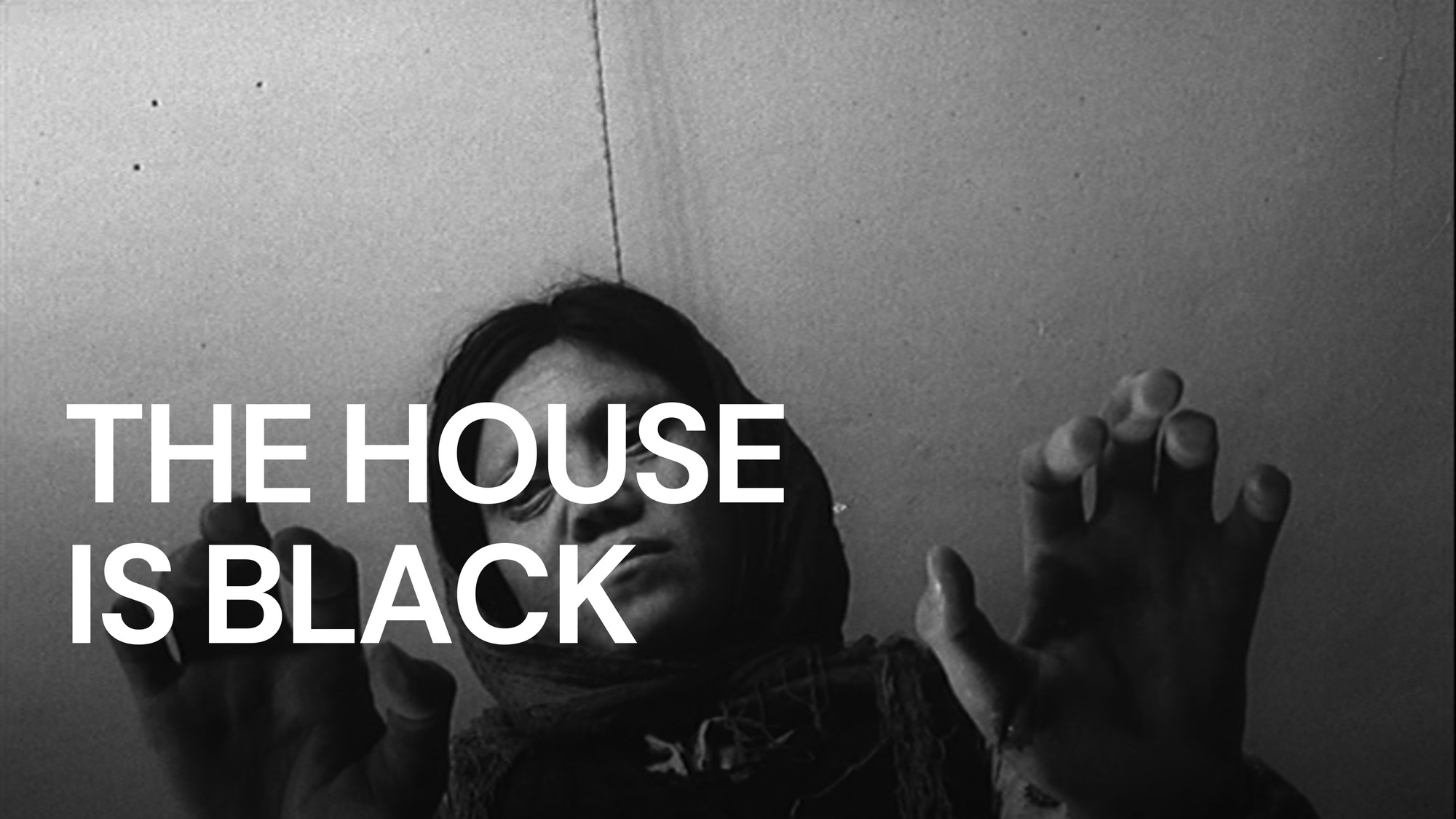 33-facts-about-the-movie-the-house-is-black