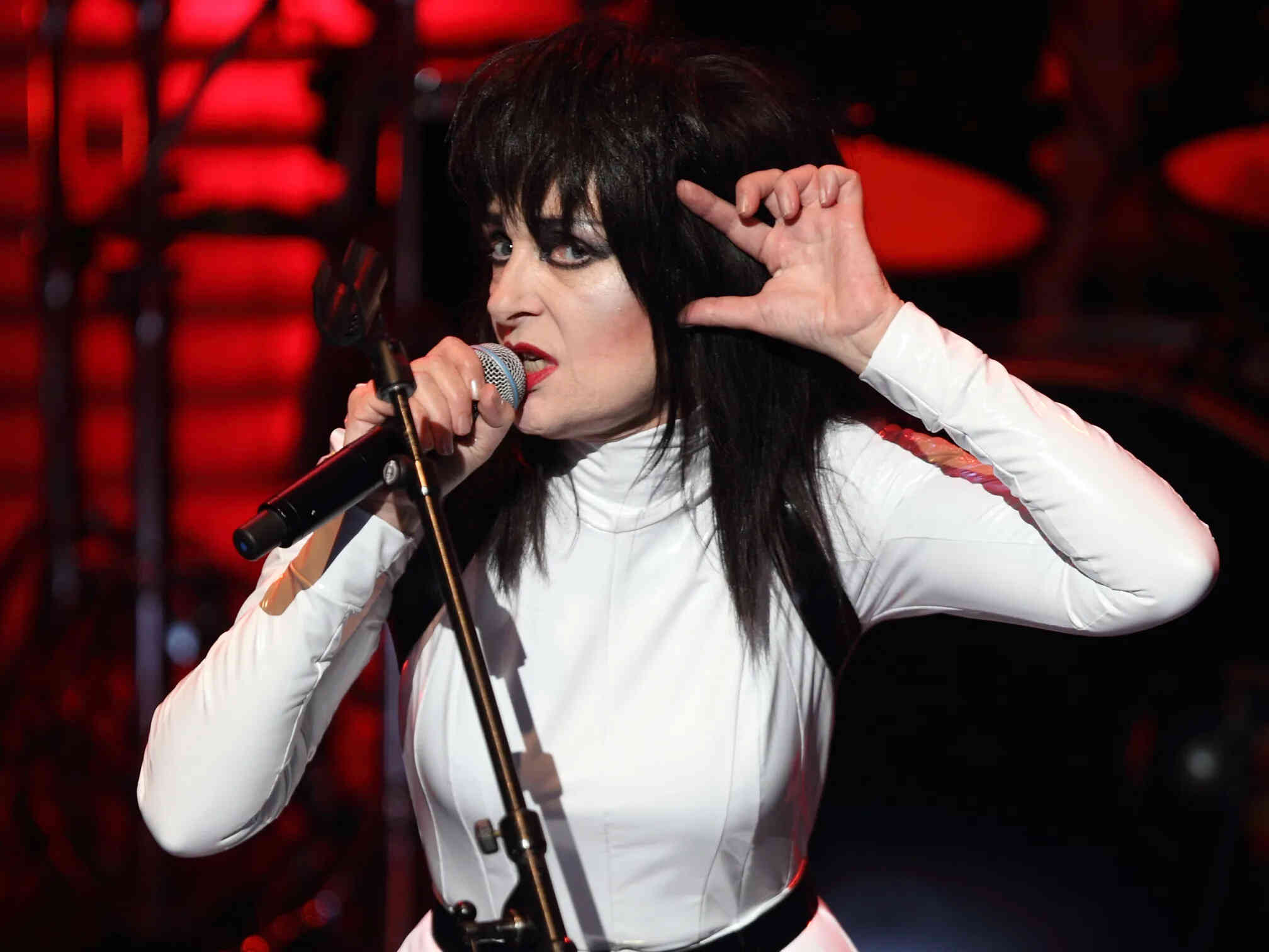 35-facts-about-siouxsie