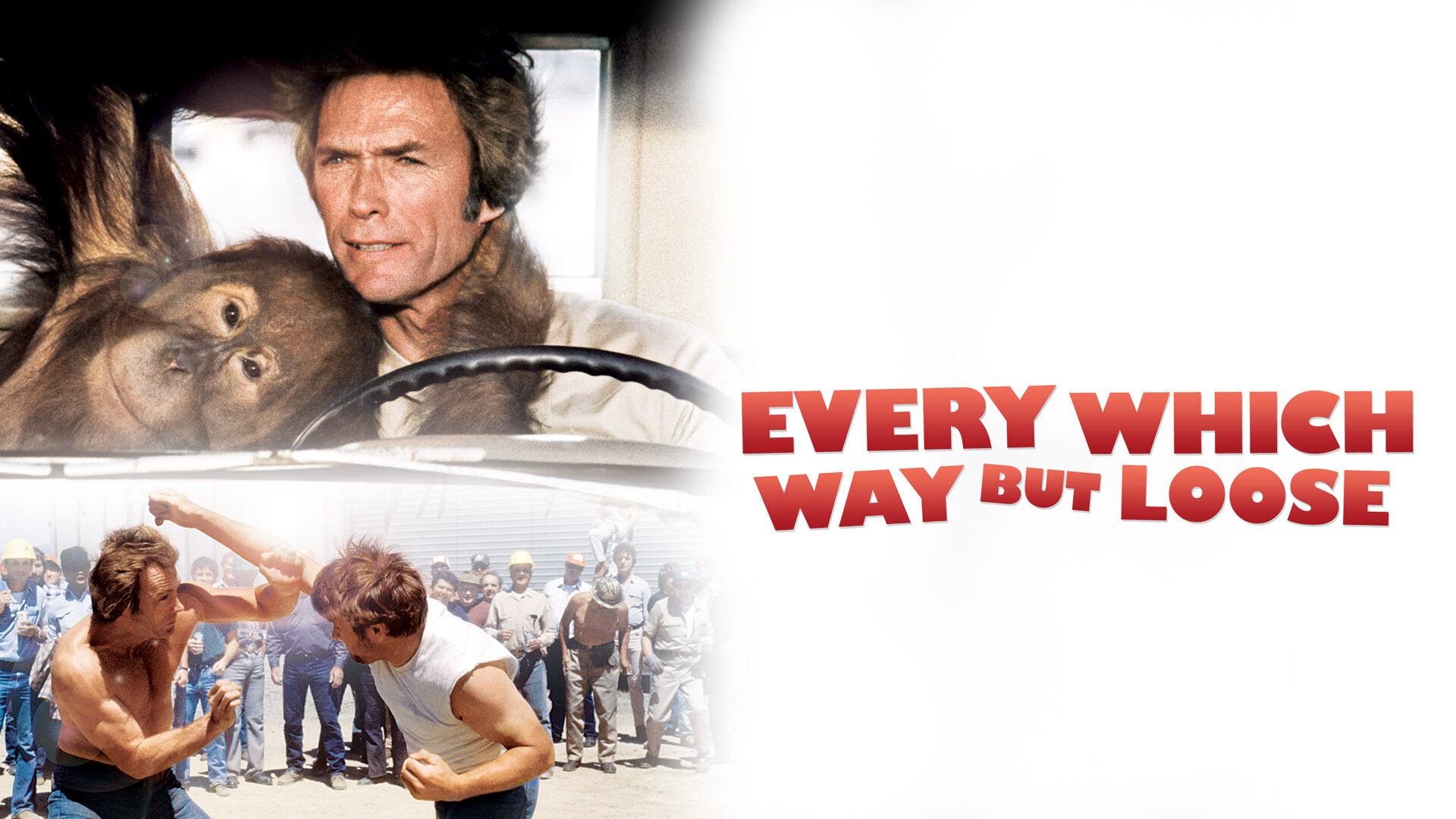 35 Facts about the movie Every Which Way But Loose - Facts.net