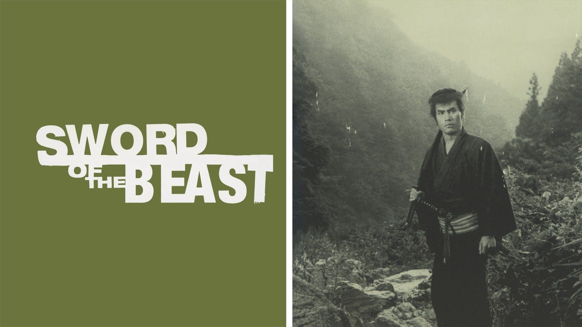 35-facts-about-the-movie-sword-of-the-beast
