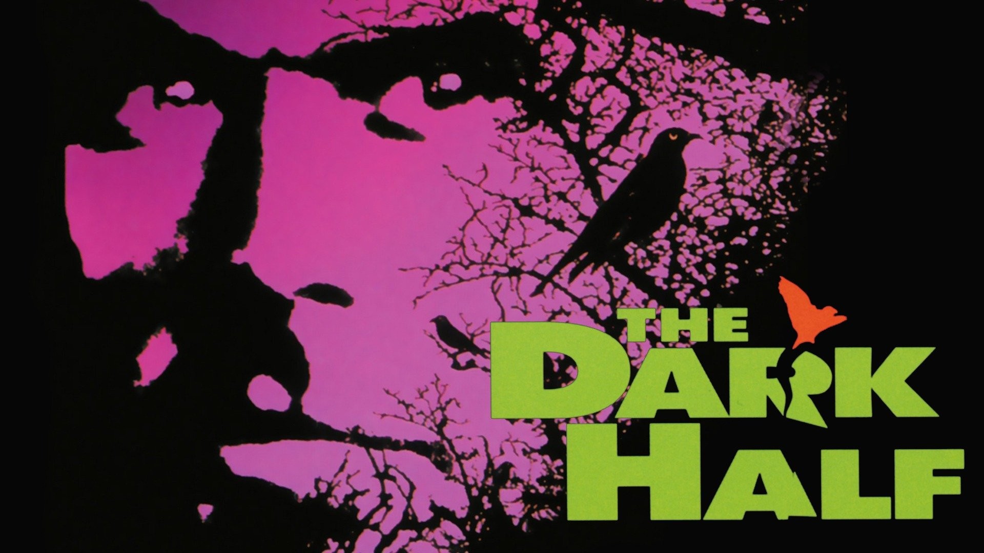 35-facts-about-the-movie-the-dark-half