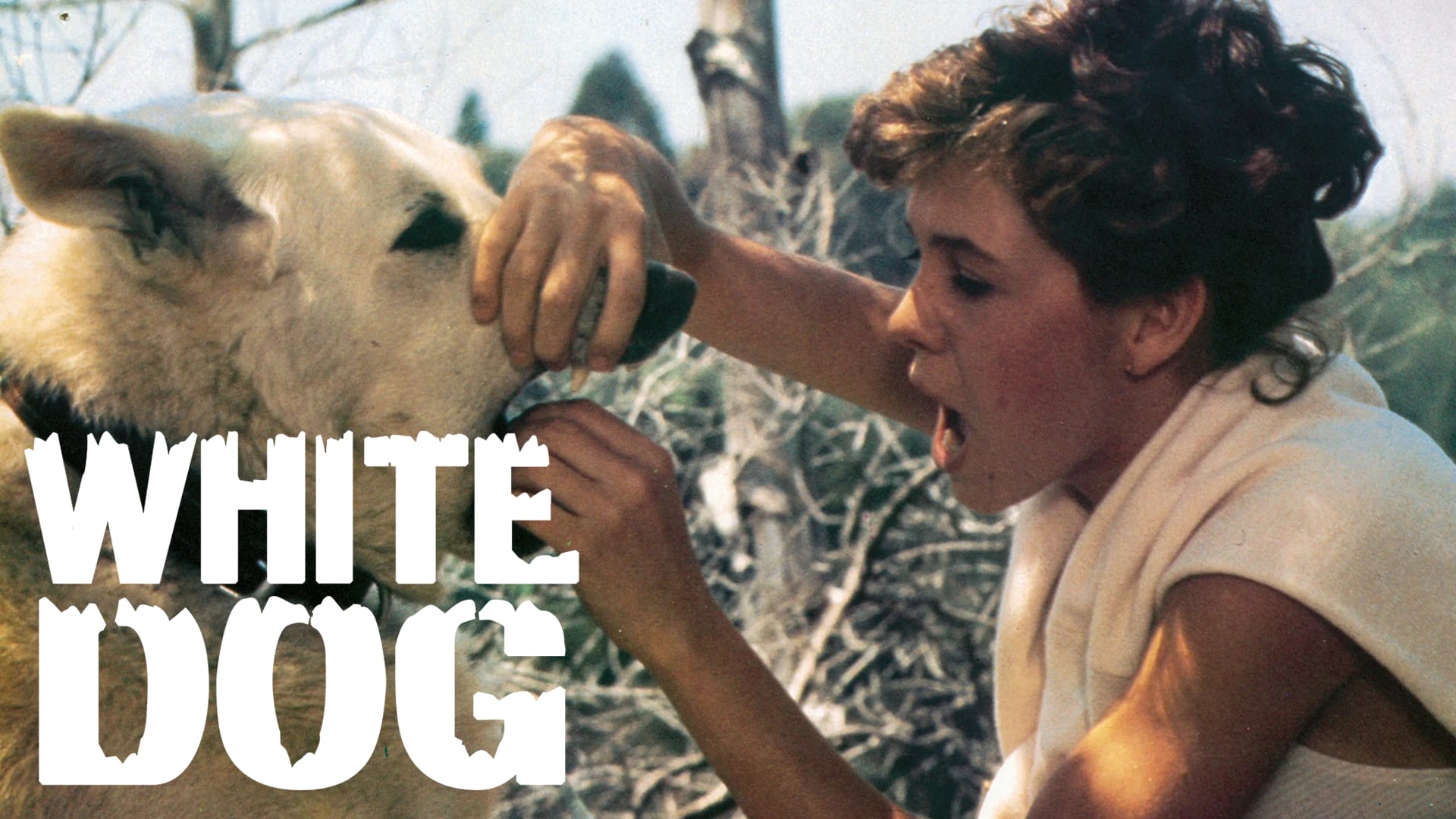 35-facts-about-the-movie-white-dog