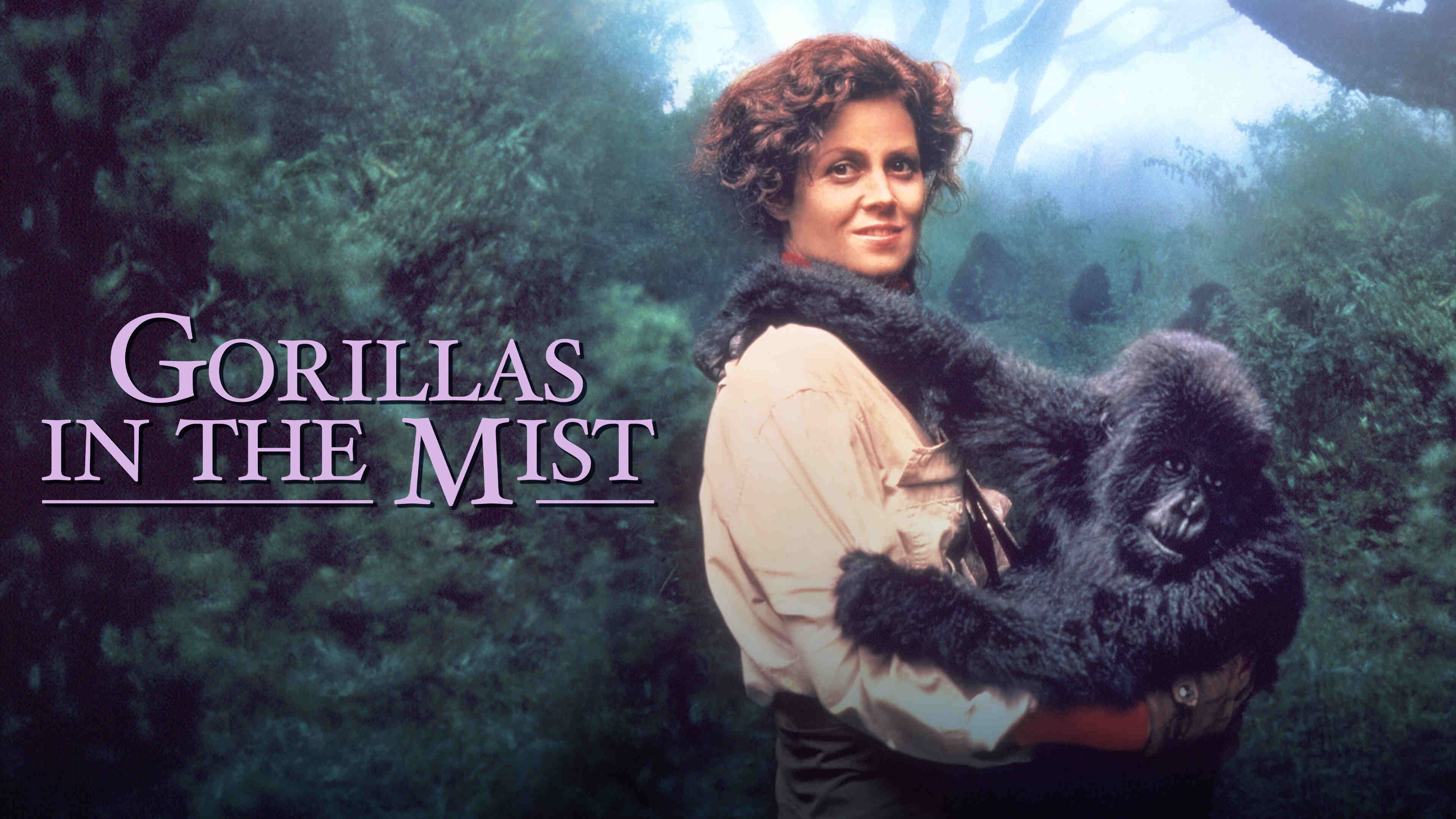 36-facts-about-the-movie-gorillas-in-the-mist