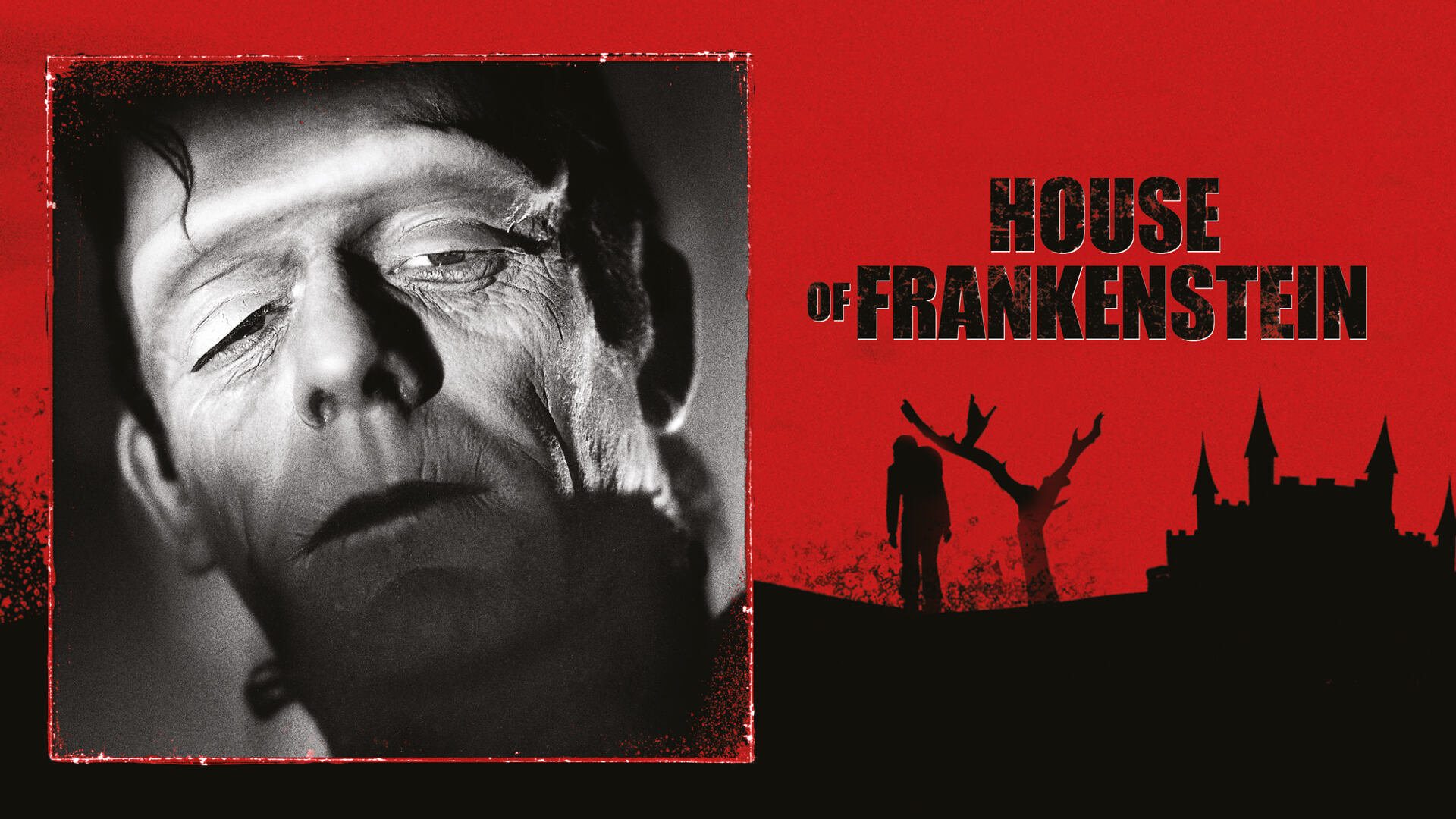 36-facts-about-the-movie-house-of-frankenstein