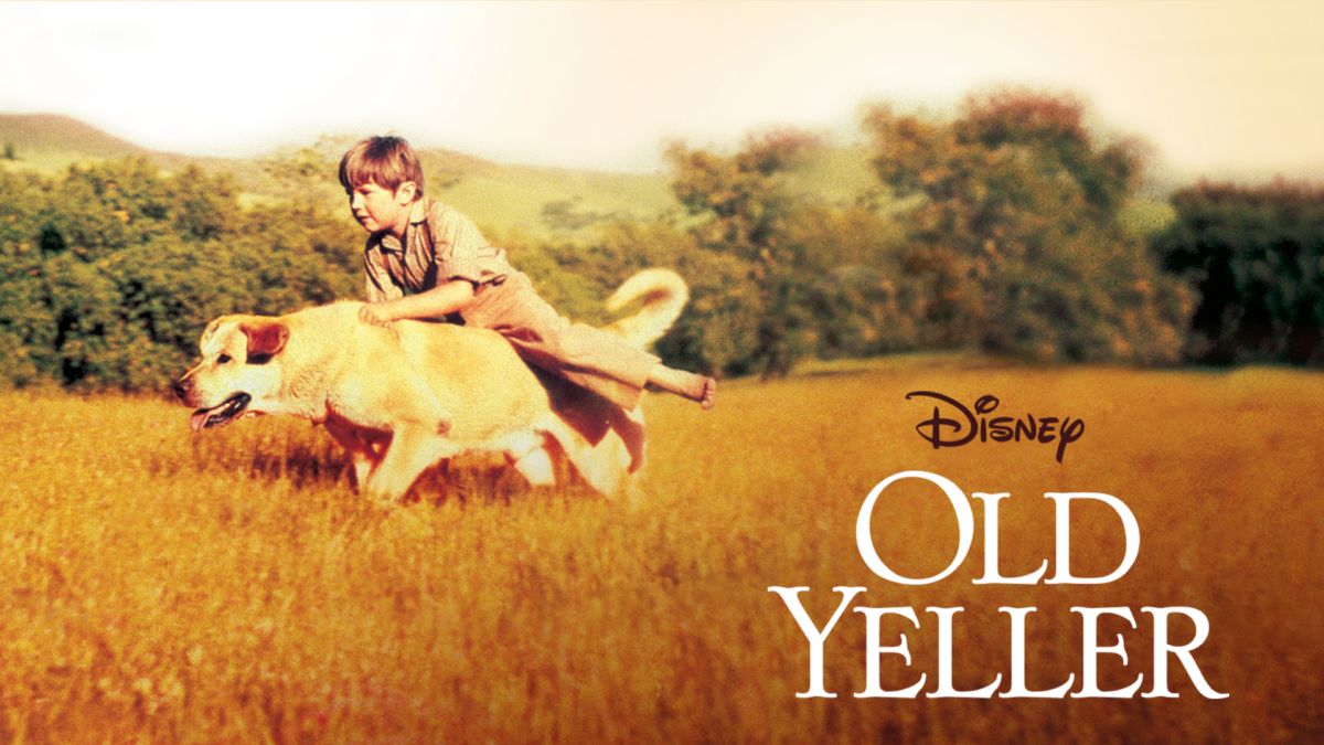 38-facts-about-the-movie-old-yeller