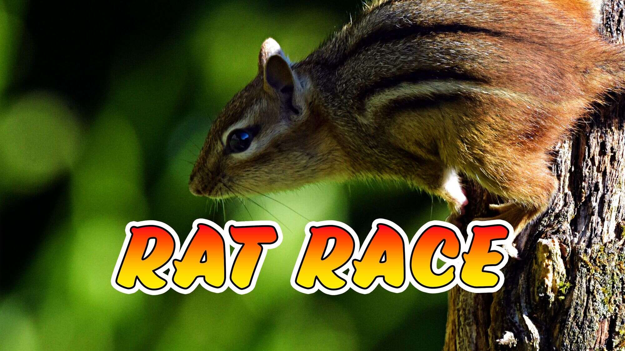 38-facts-about-the-movie-rat-race