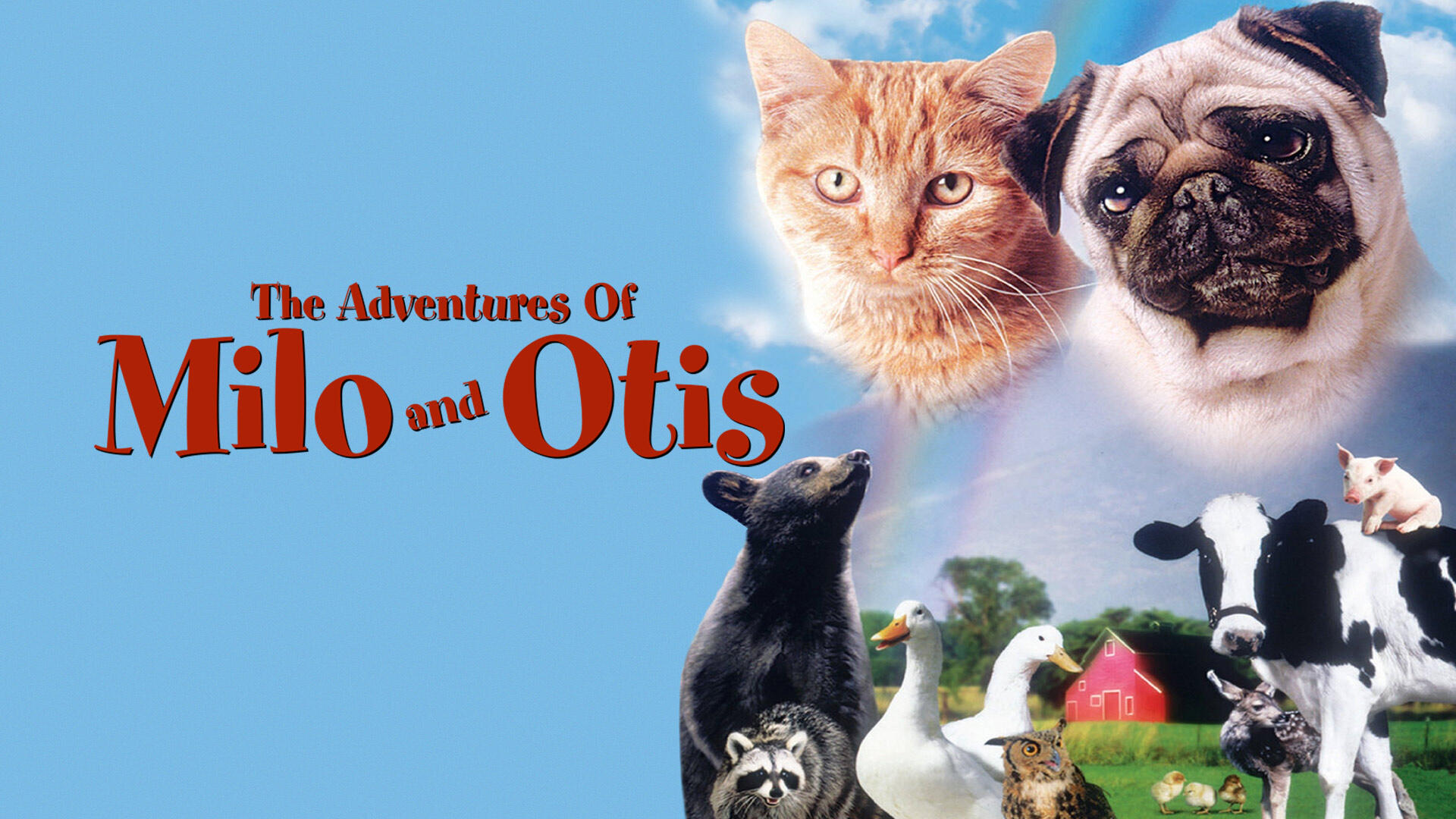 38-facts-about-the-movie-the-adventures-of-milo-and-otis