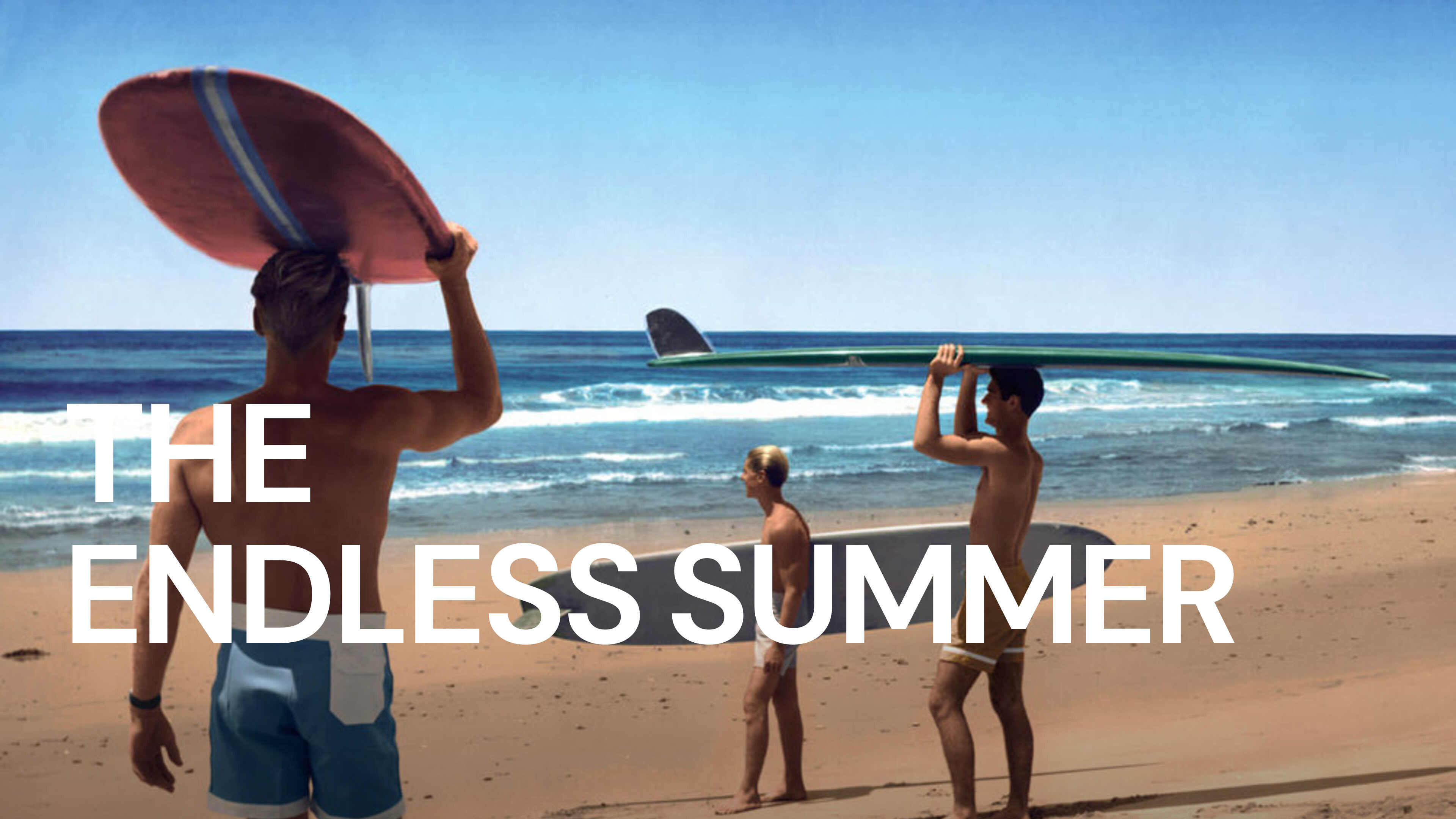 38 Facts about the movie The Endless Summer 