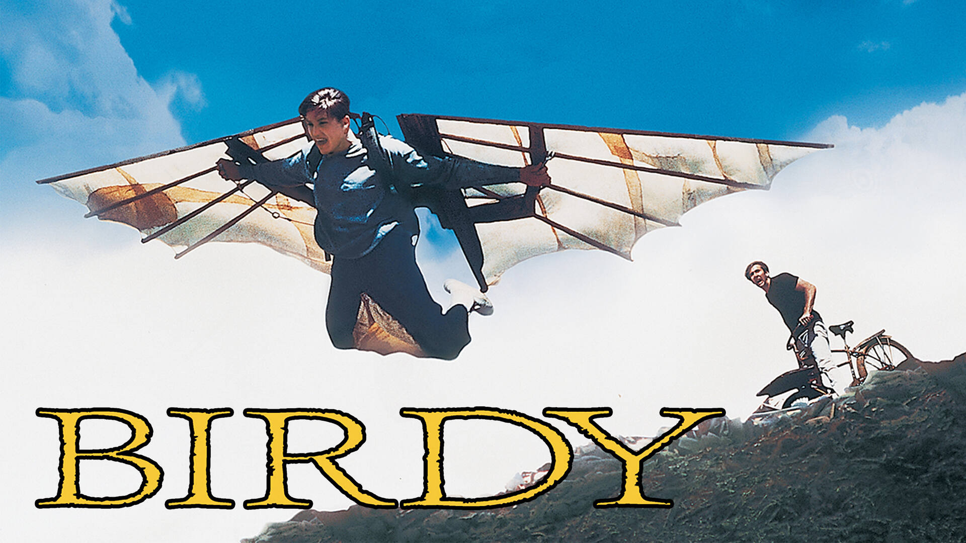 40-facts-about-the-movie-birdy