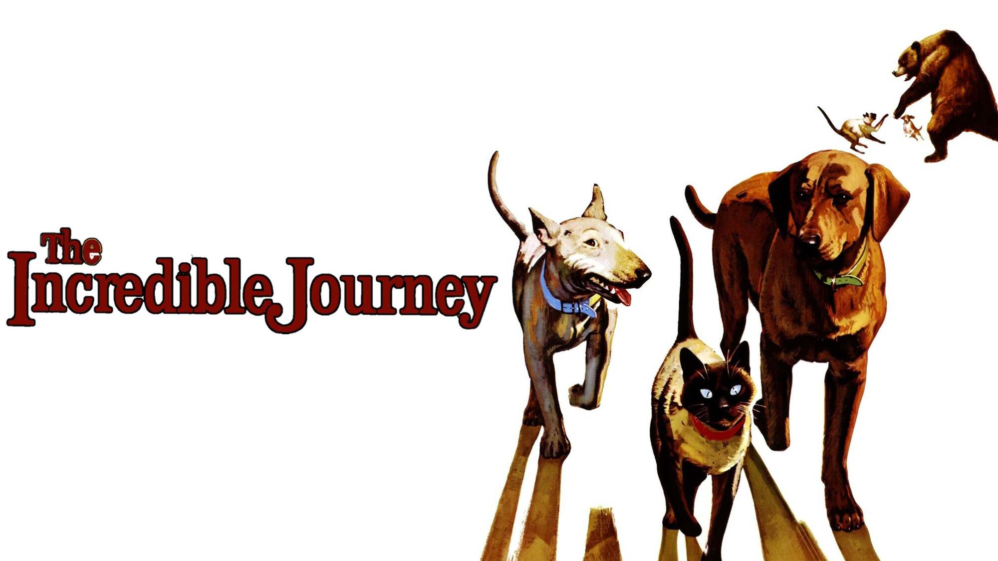 40-facts-about-the-movie-the-incredible-journey