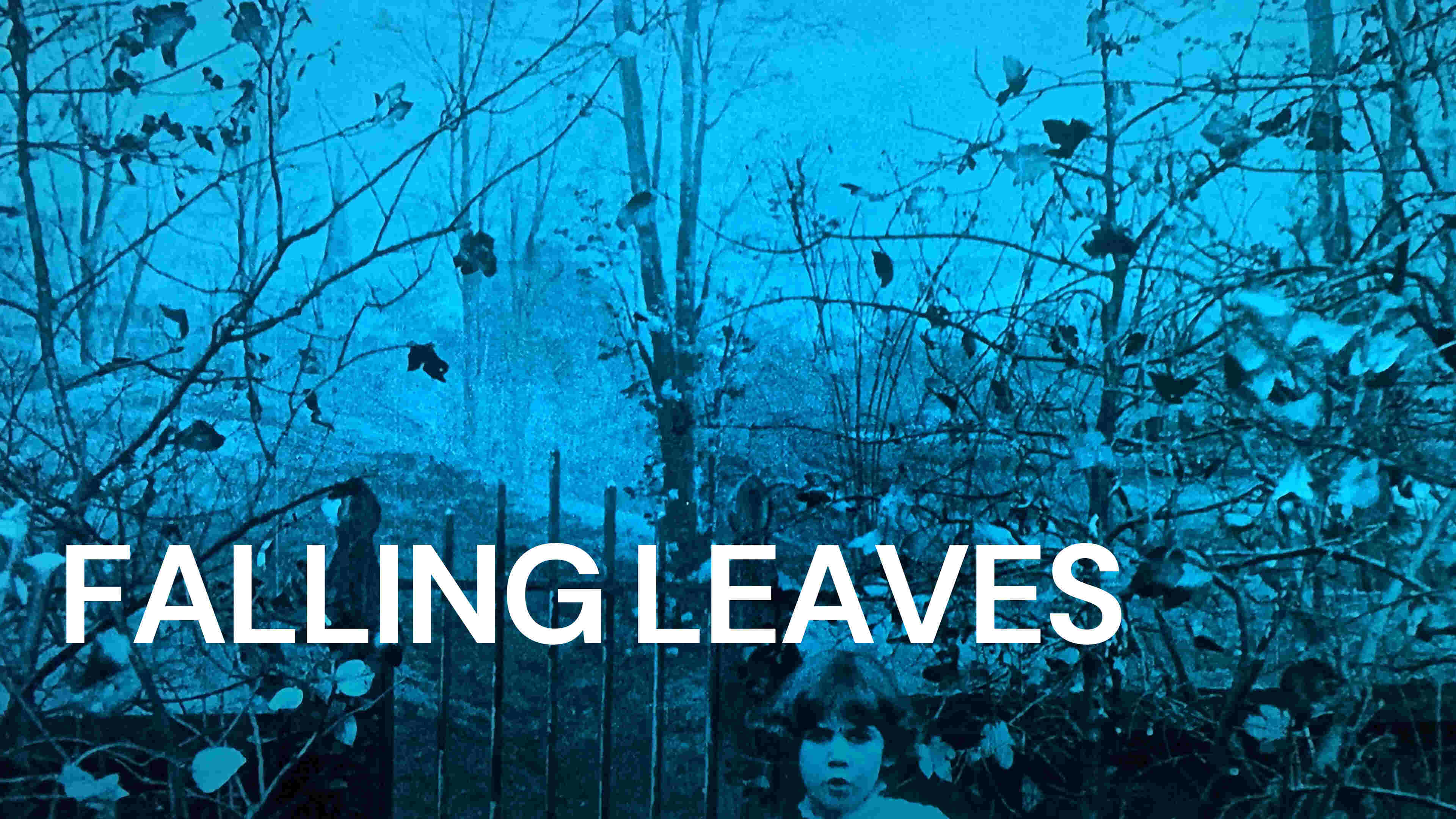 41-facts-about-the-movie-falling-leaves