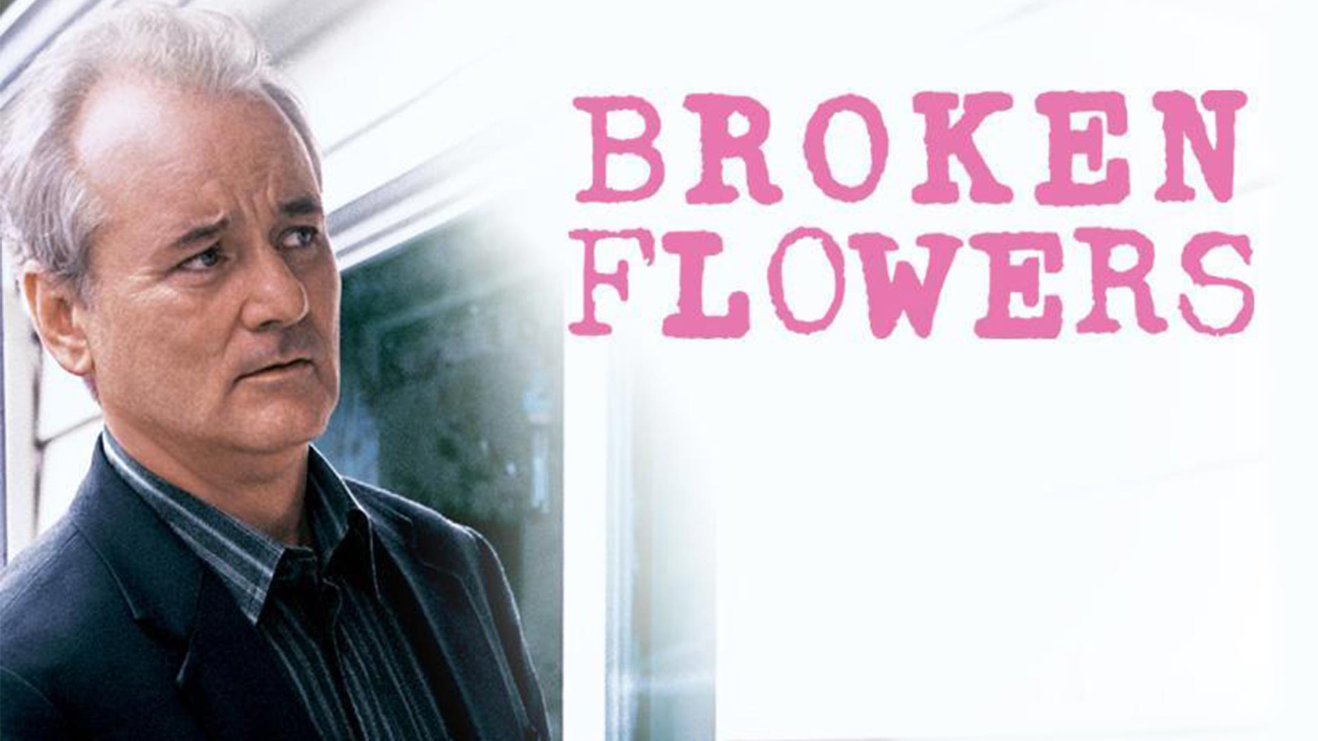 42-facts-about-the-movie-broken-flowers