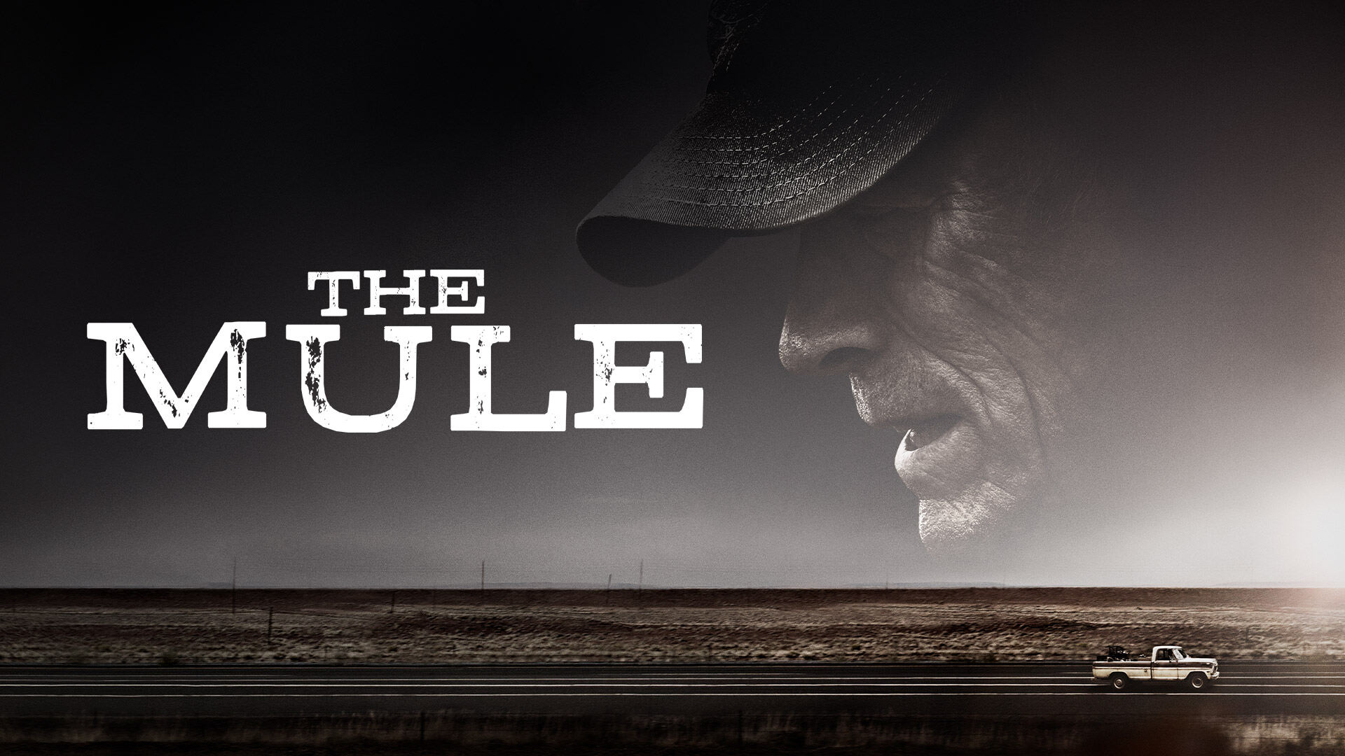 42-facts-about-the-movie-the-mule