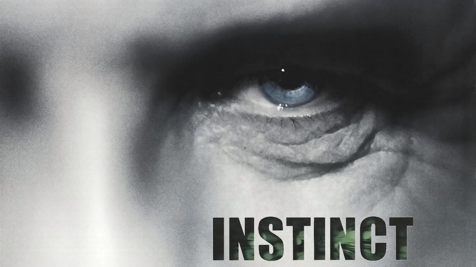 44-facts-about-the-movie-instinct
