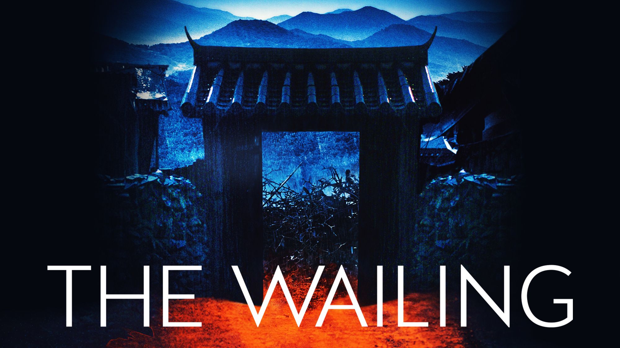 44-facts-about-the-movie-the-wailing