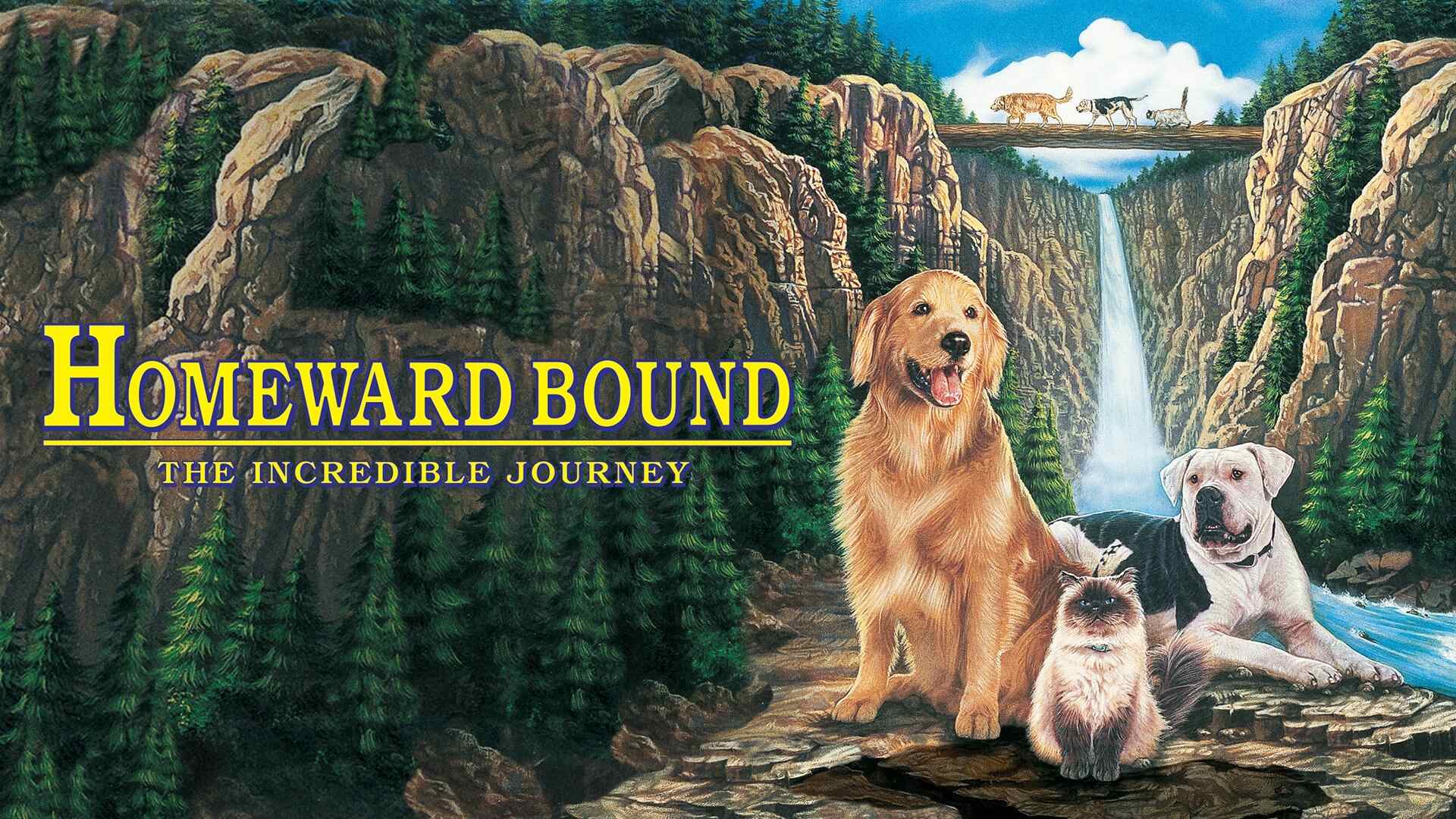 45 Facts about the movie Homeward Bound: The Incredible Journey - Facts.net