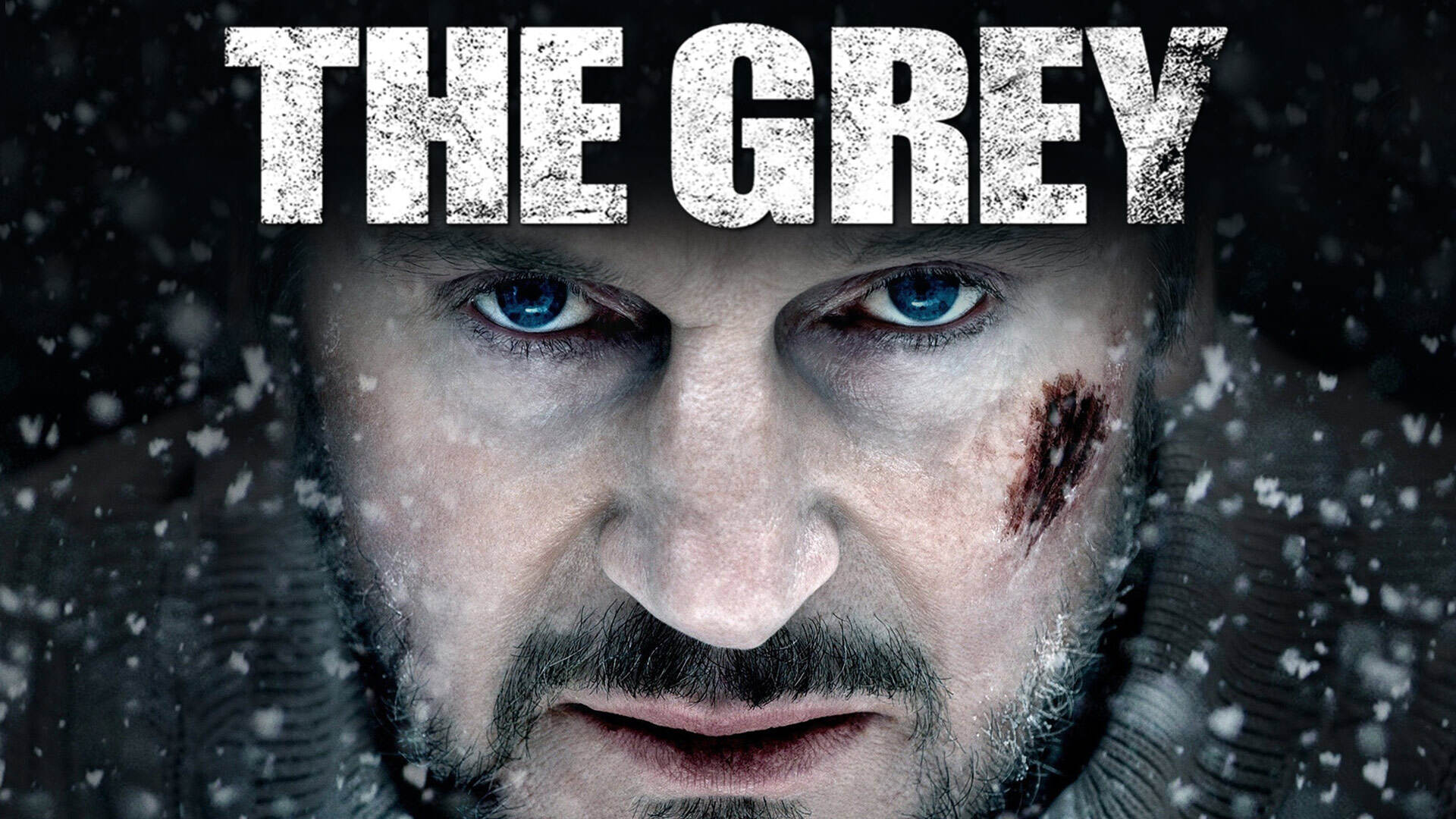 46-facts-about-the-movie-the-grey