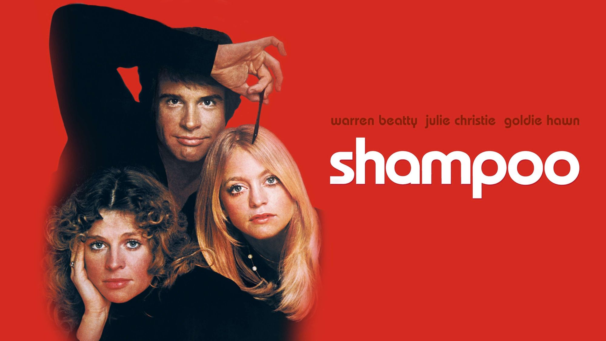 48-facts-about-the-movie-shampoo