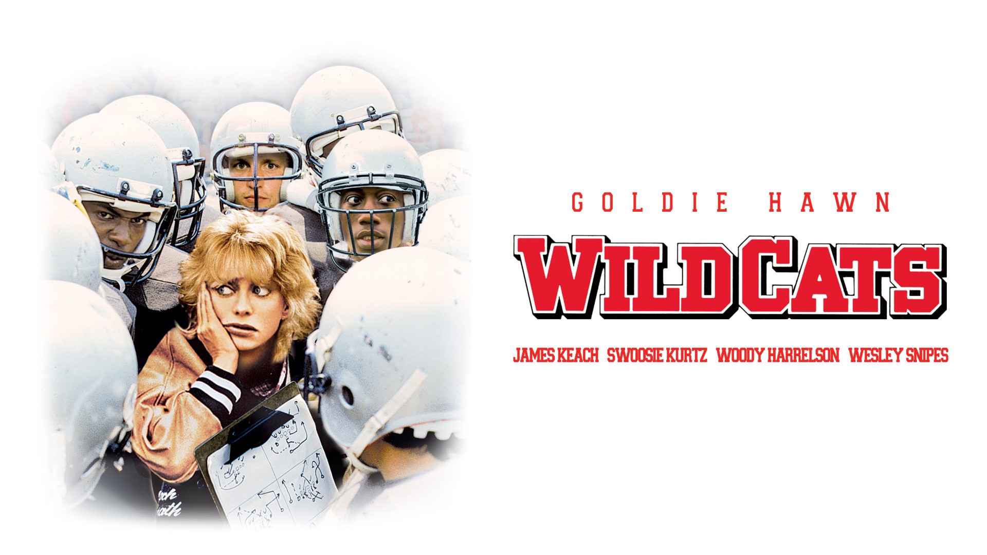50-facts-about-the-movie-wildcats