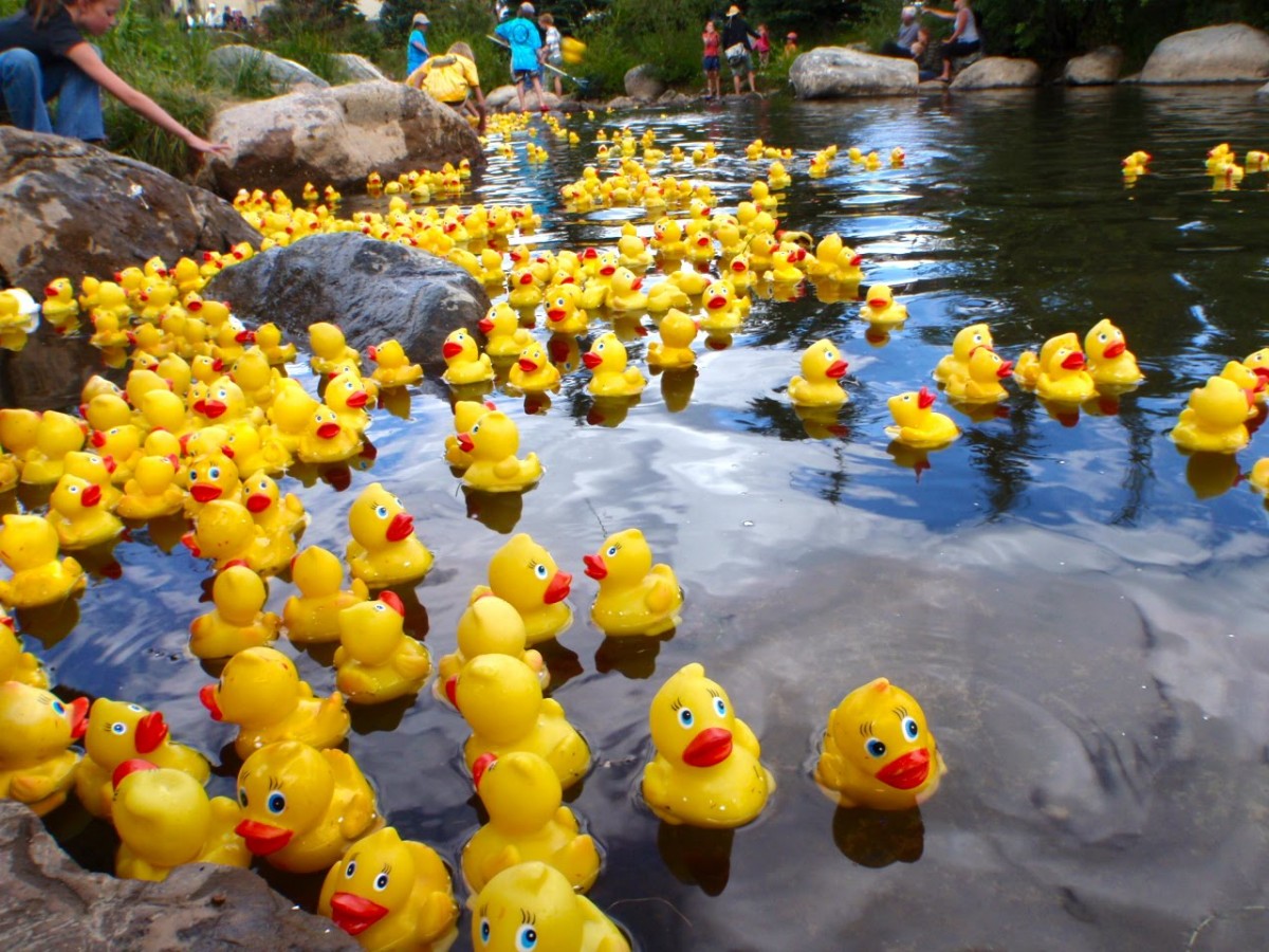 8-unbelievable-facts-about-duckfest-duck-derby