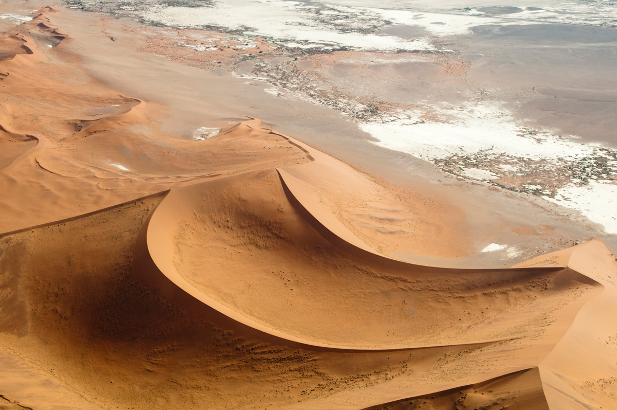 9-captivating-facts-about-parabolic-dune