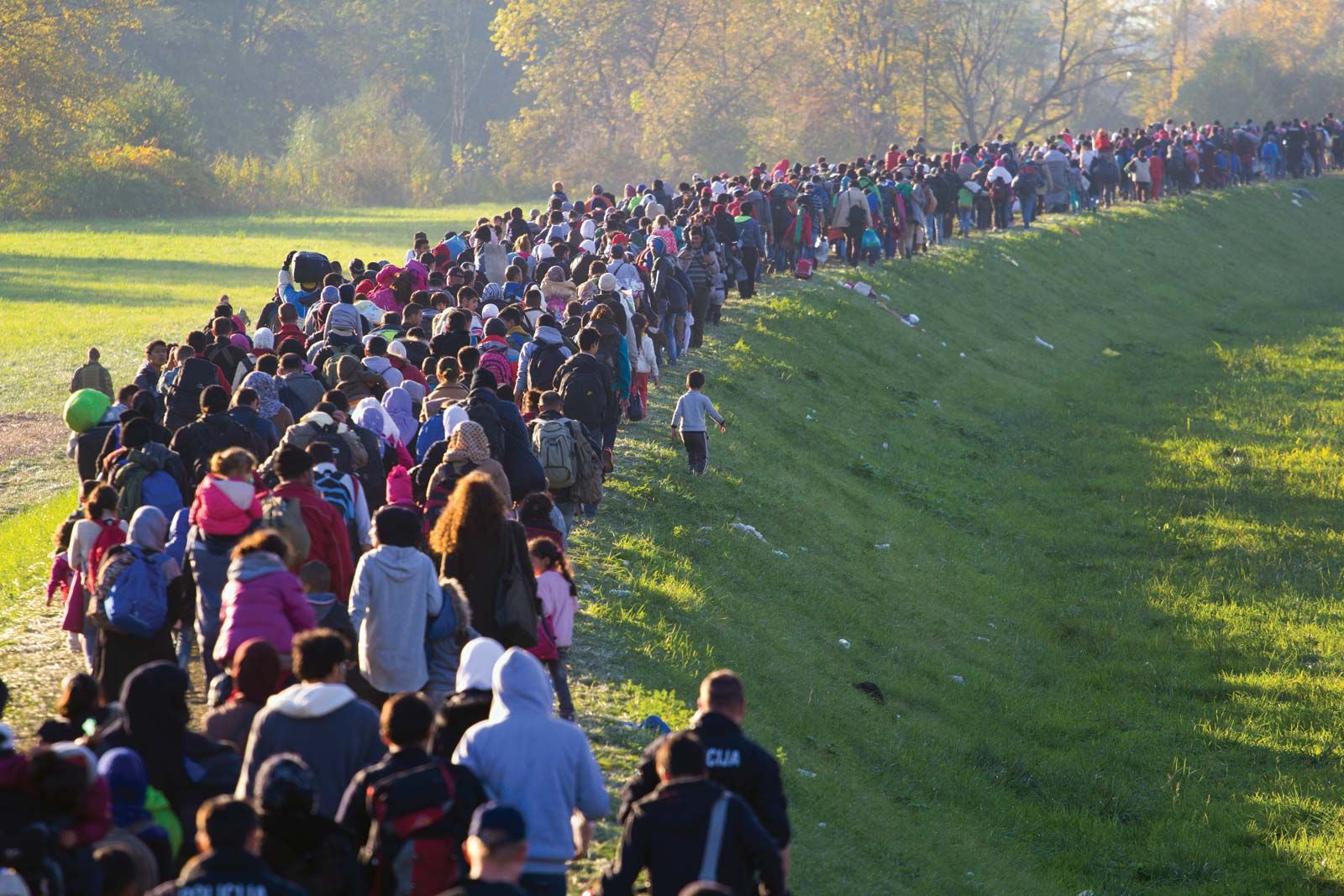 9-enigmatic-facts-about-human-migration