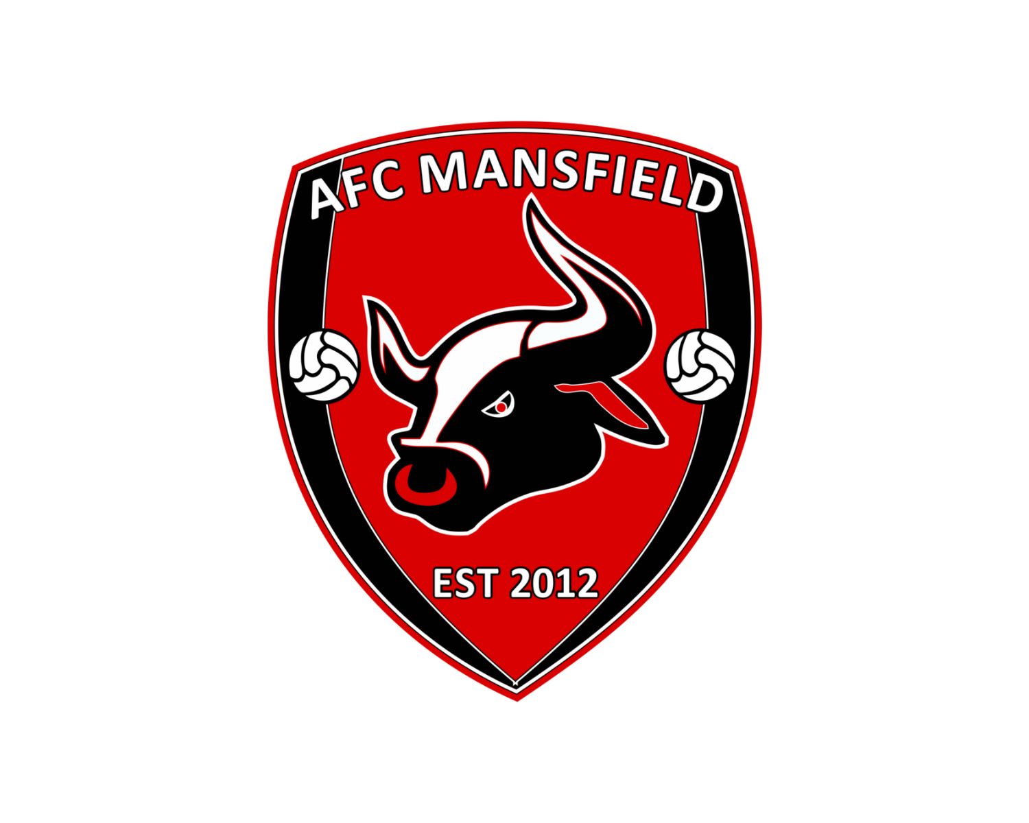 afc-mansfield-25-football-club-facts