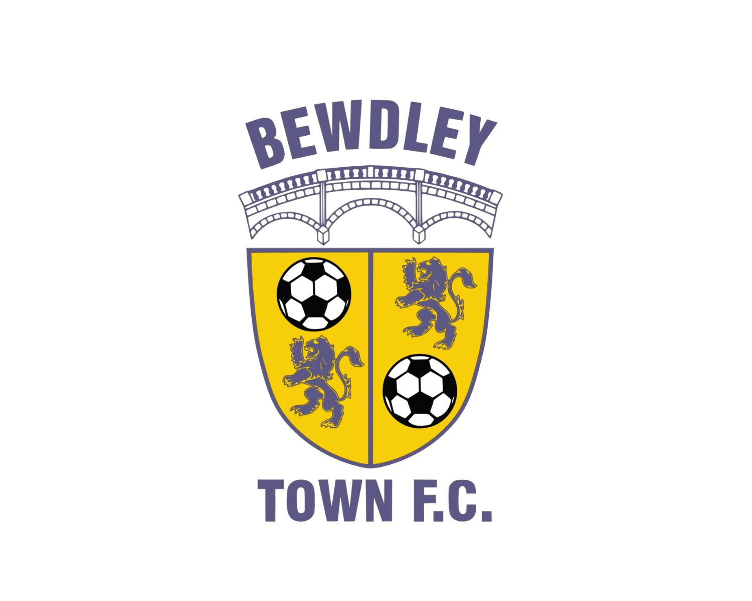bewdley-town-fc-21-football-club-facts