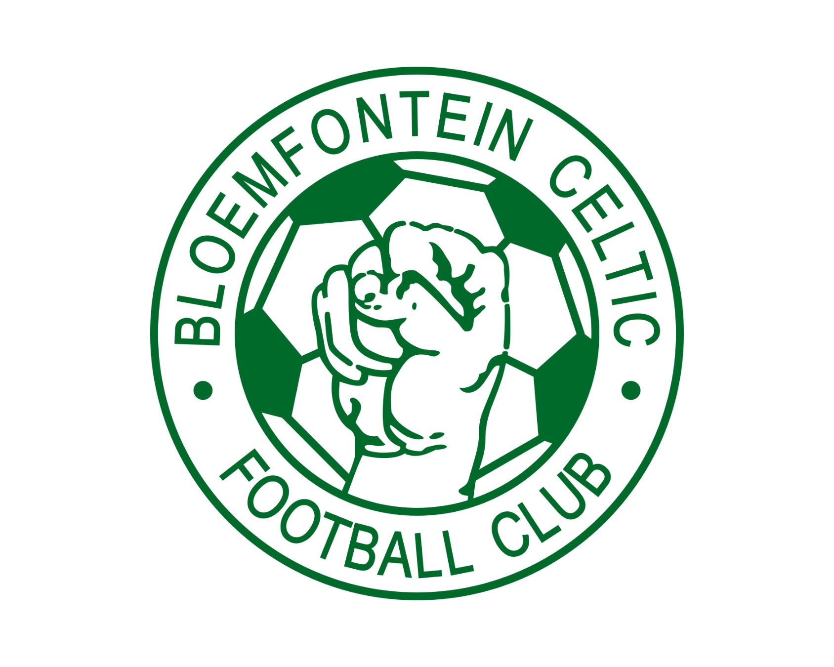 bloemfontein-celtic-fc-15-football-club-facts