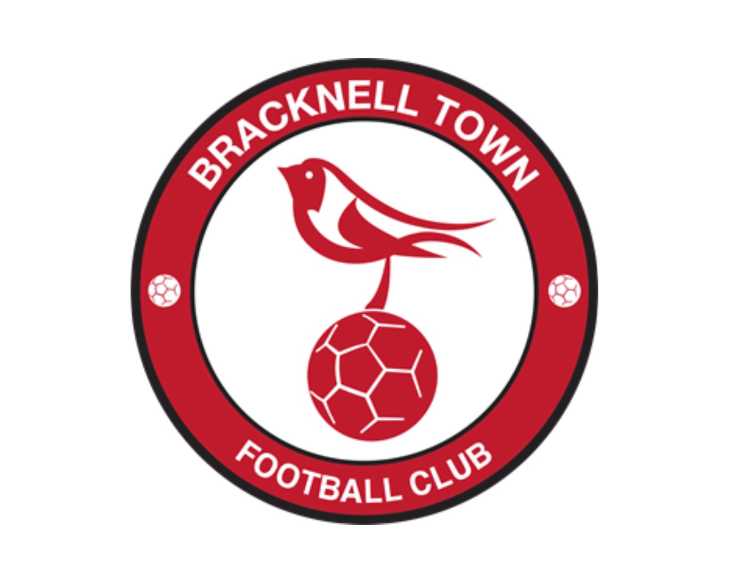 bracknell-town-fc-15-football-club-facts