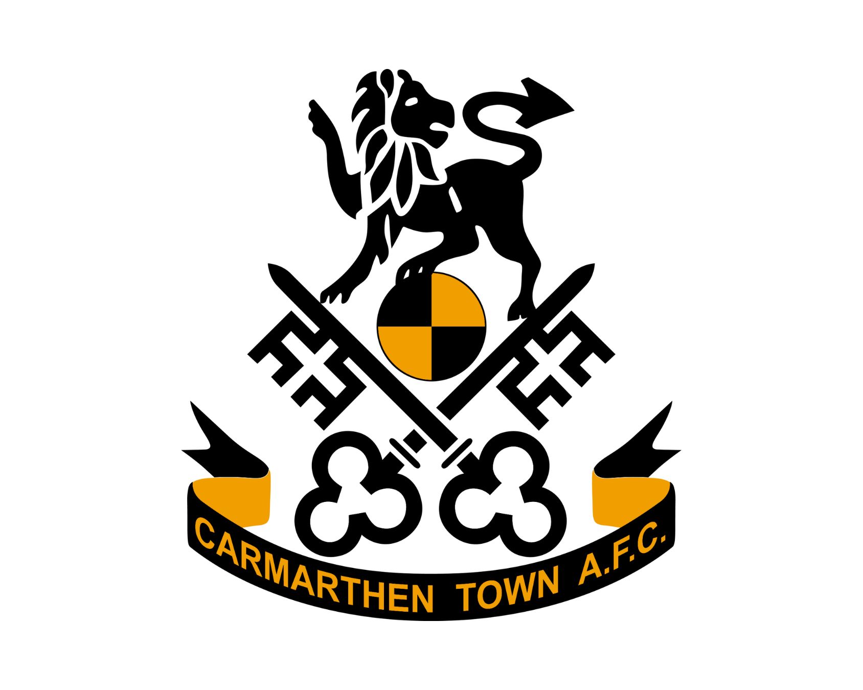 carmarthen-town-afc-16-football-club-facts