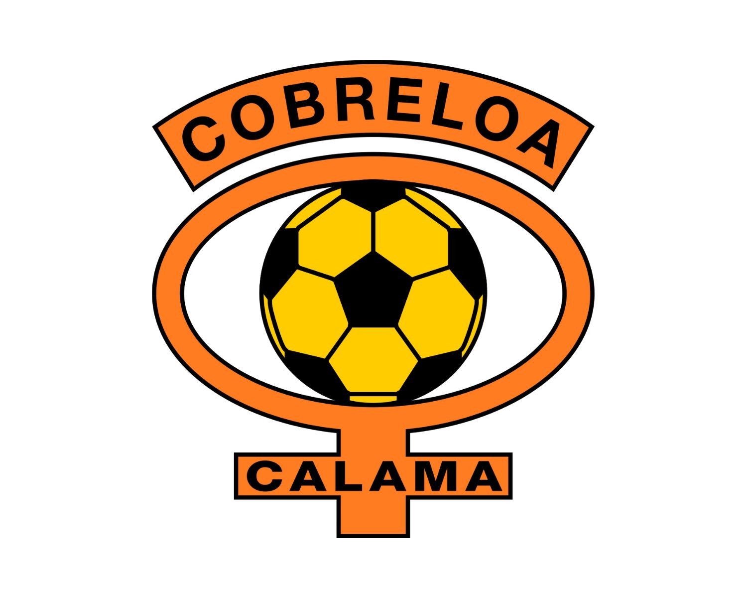 Cobreloa: 21 Football Club Facts - Facts.net