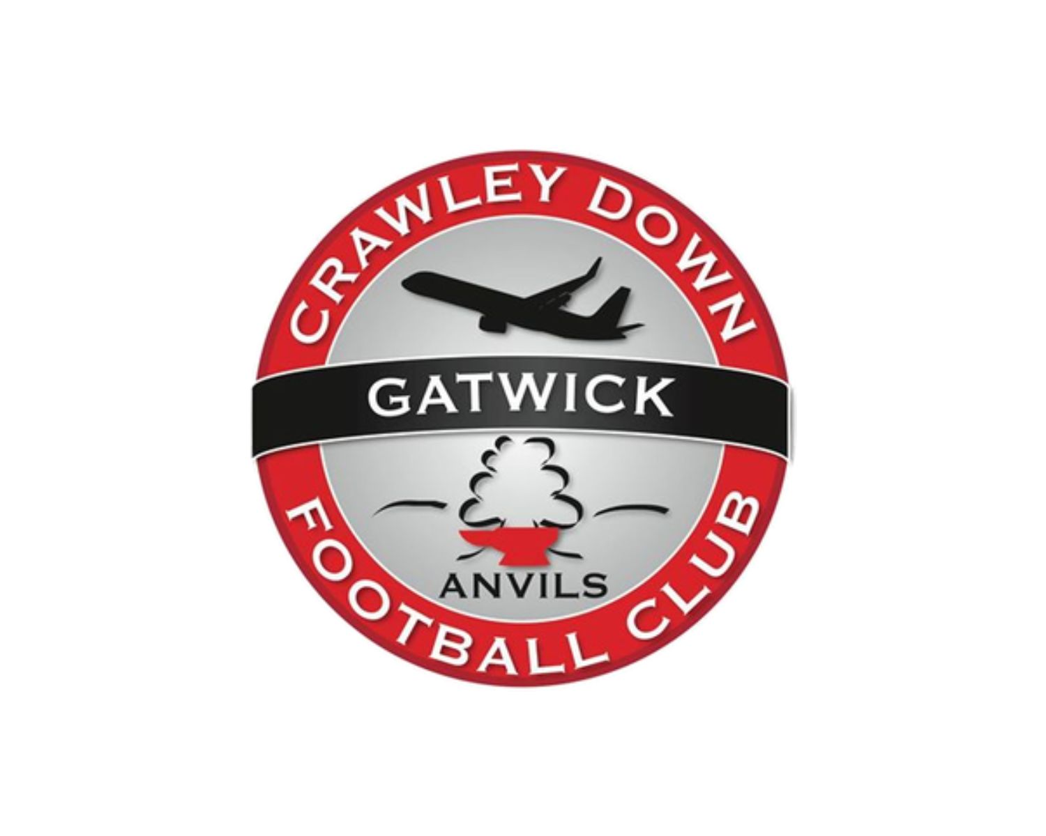 crawley-down-gatwick-fc-16-football-club-facts