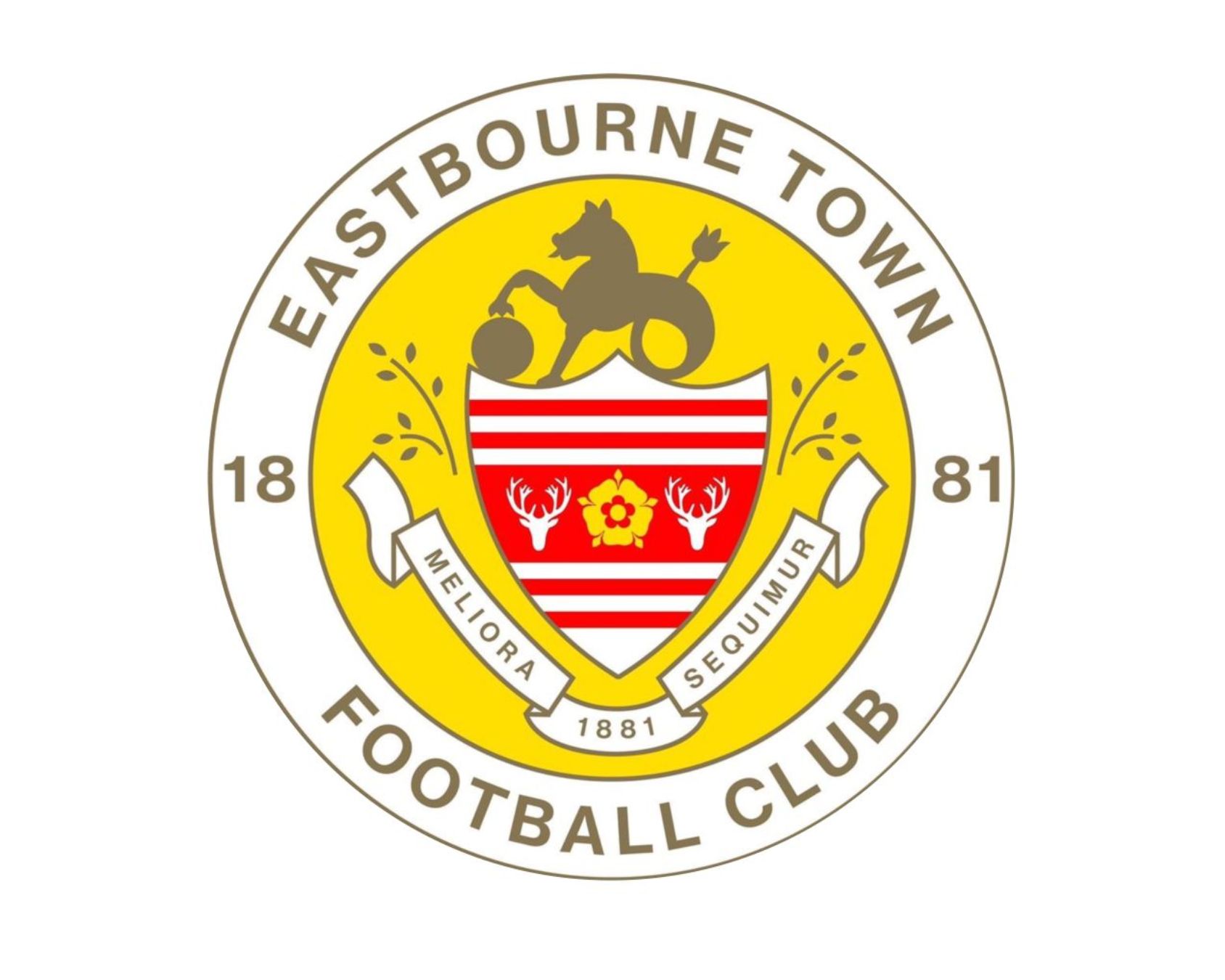 eastbourne-town-fc-22-football-club-facts