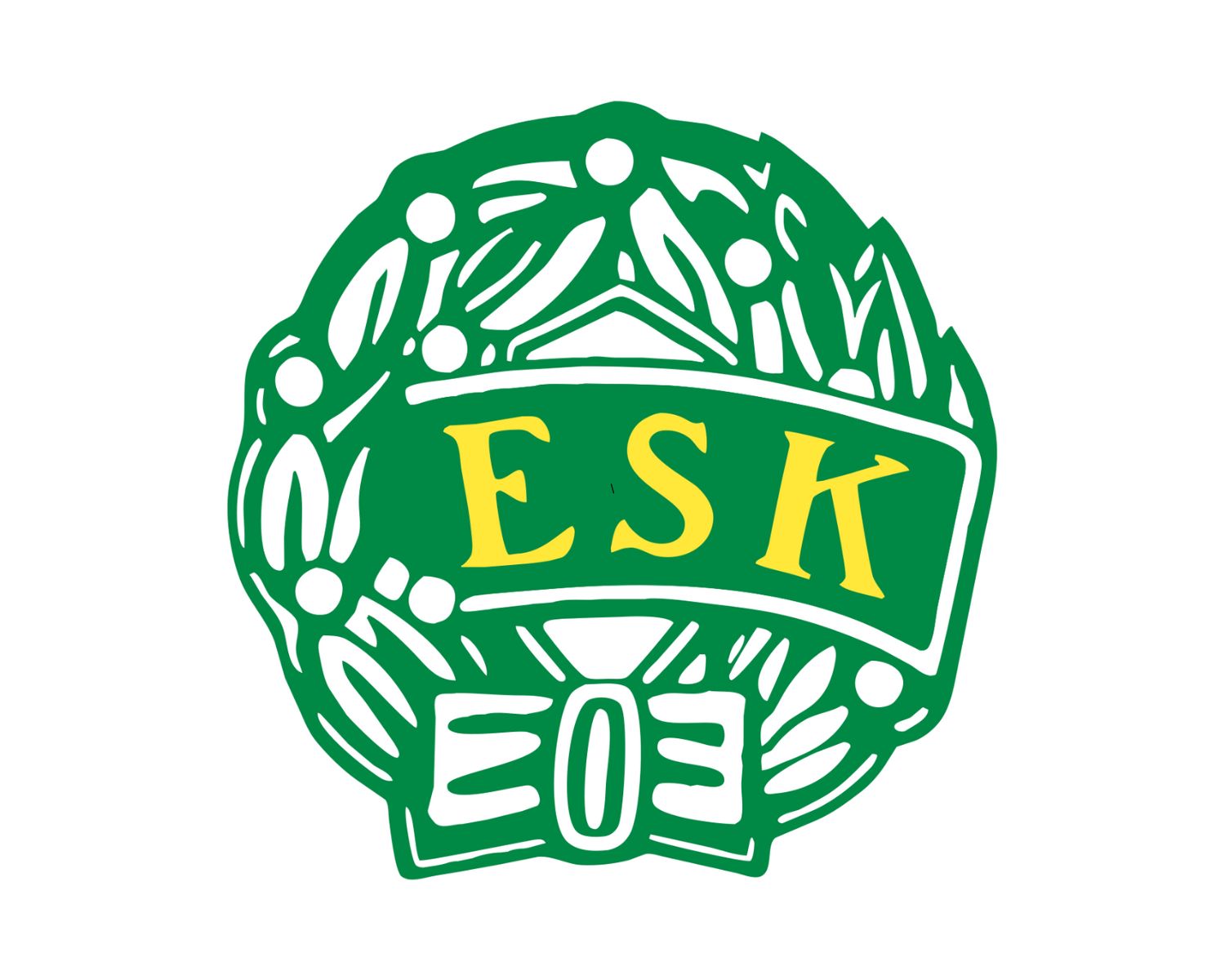 enkopings-sk-18-football-club-facts