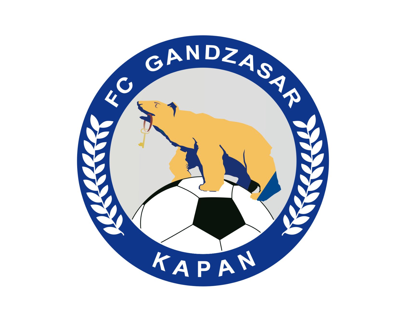 gandzasar-kapan-fc-24-football-club-facts