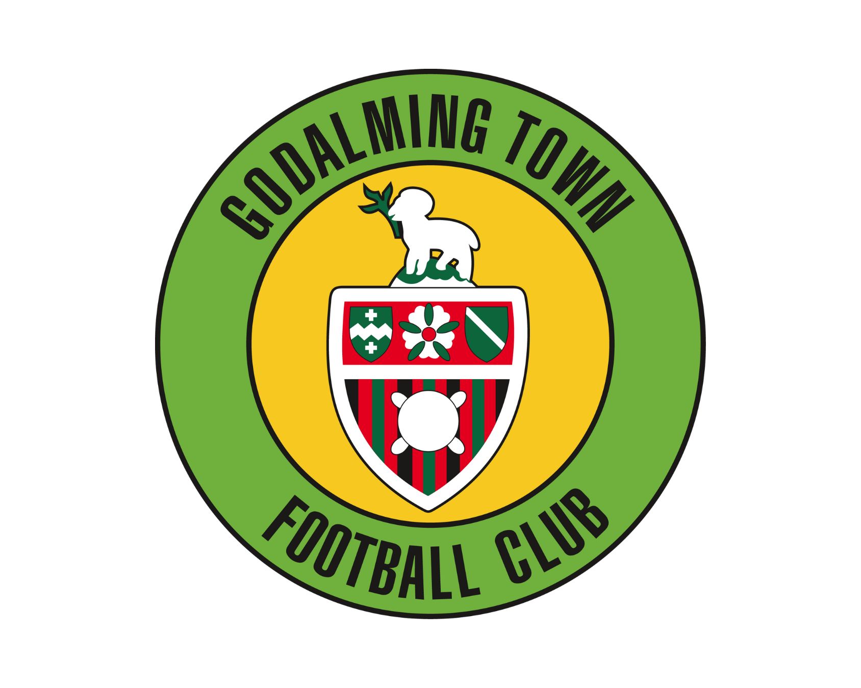 godalming-town-fc-20-football-club-facts