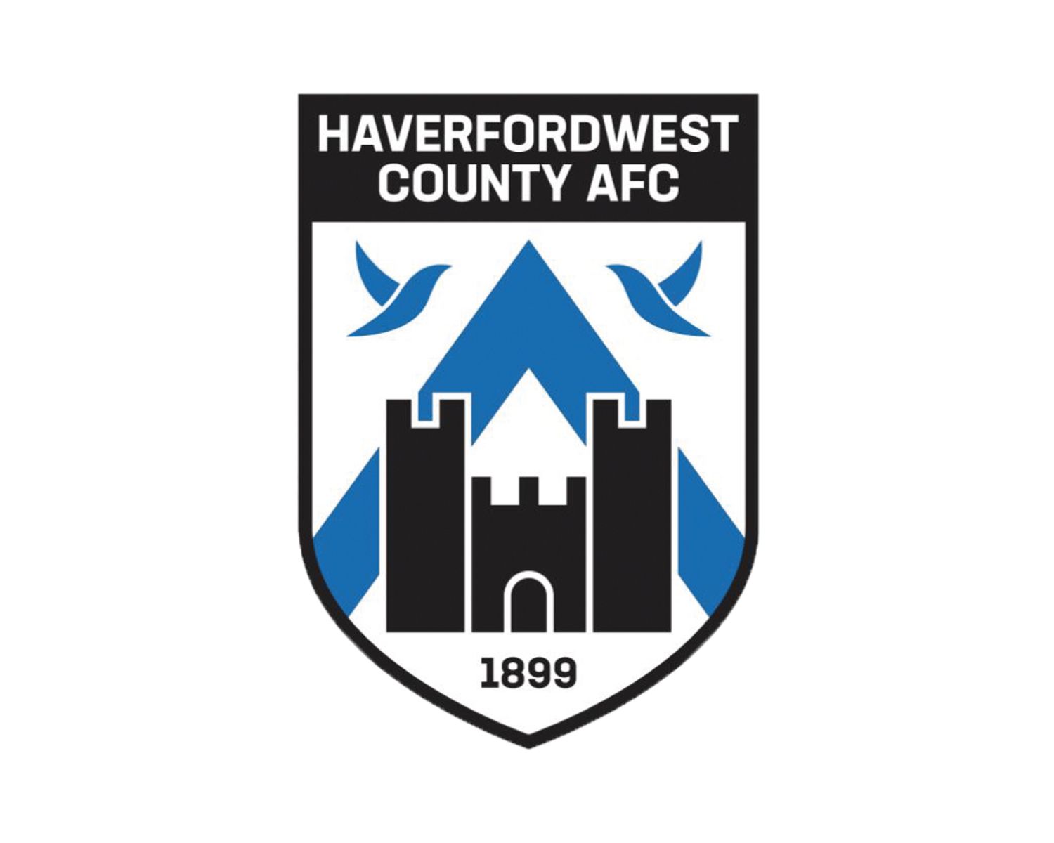 haverfordwest-county-afc-16-football-club-facts