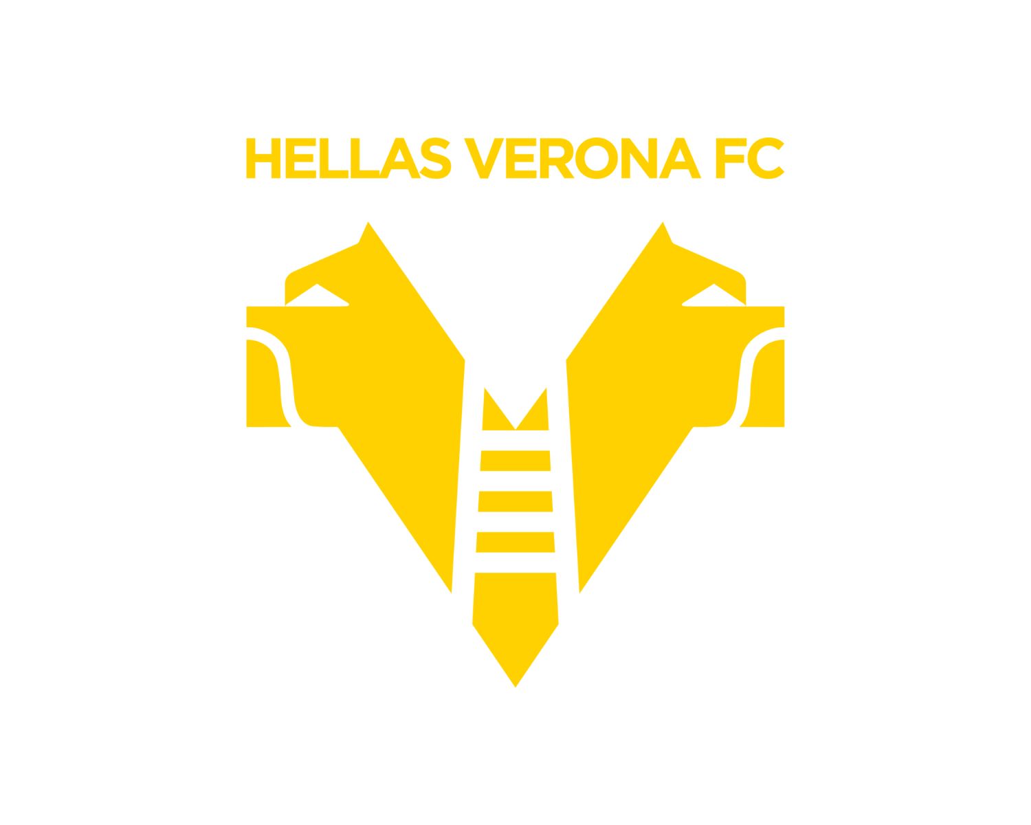 Hellas Verona FC 21 Football Club Facts Facts