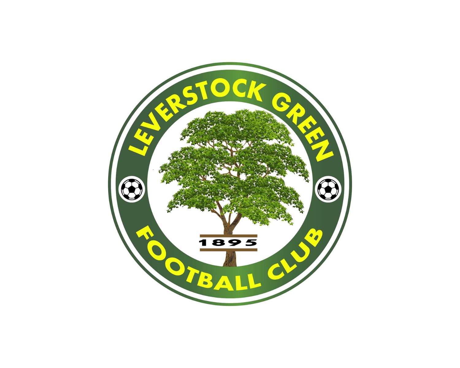 leverstock-green-fc-13-football-club-facts