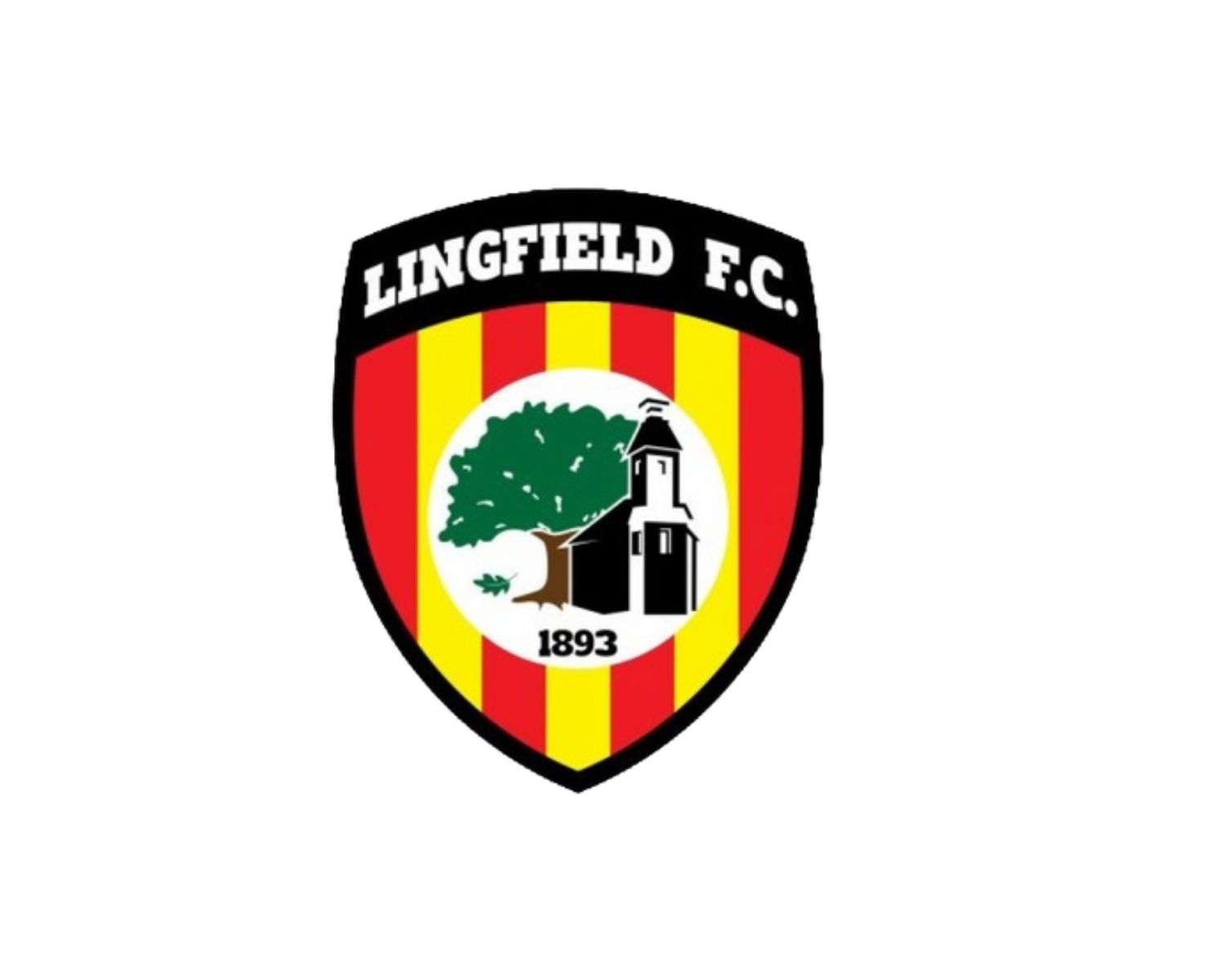 lingfield-fc-20-football-club-facts