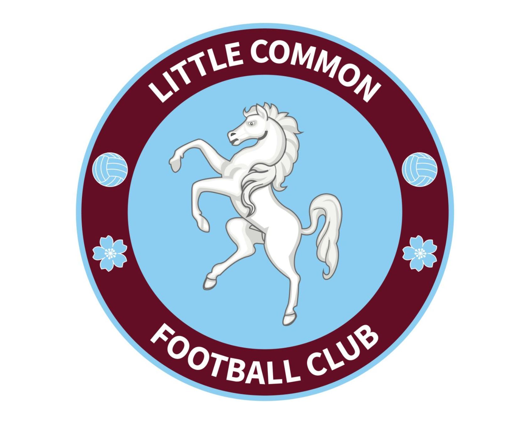little-common-fc-15-football-club-facts